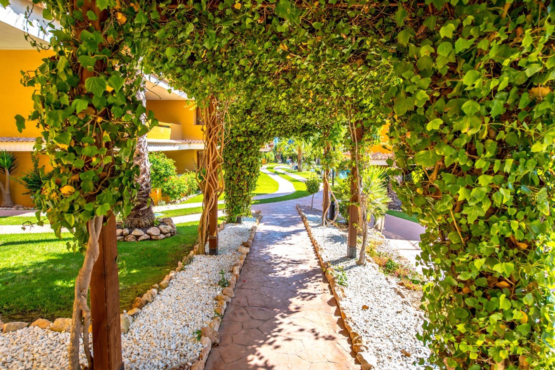 Használt Ingatlanok - Apartman -
Torrevieja - Costa Blanca