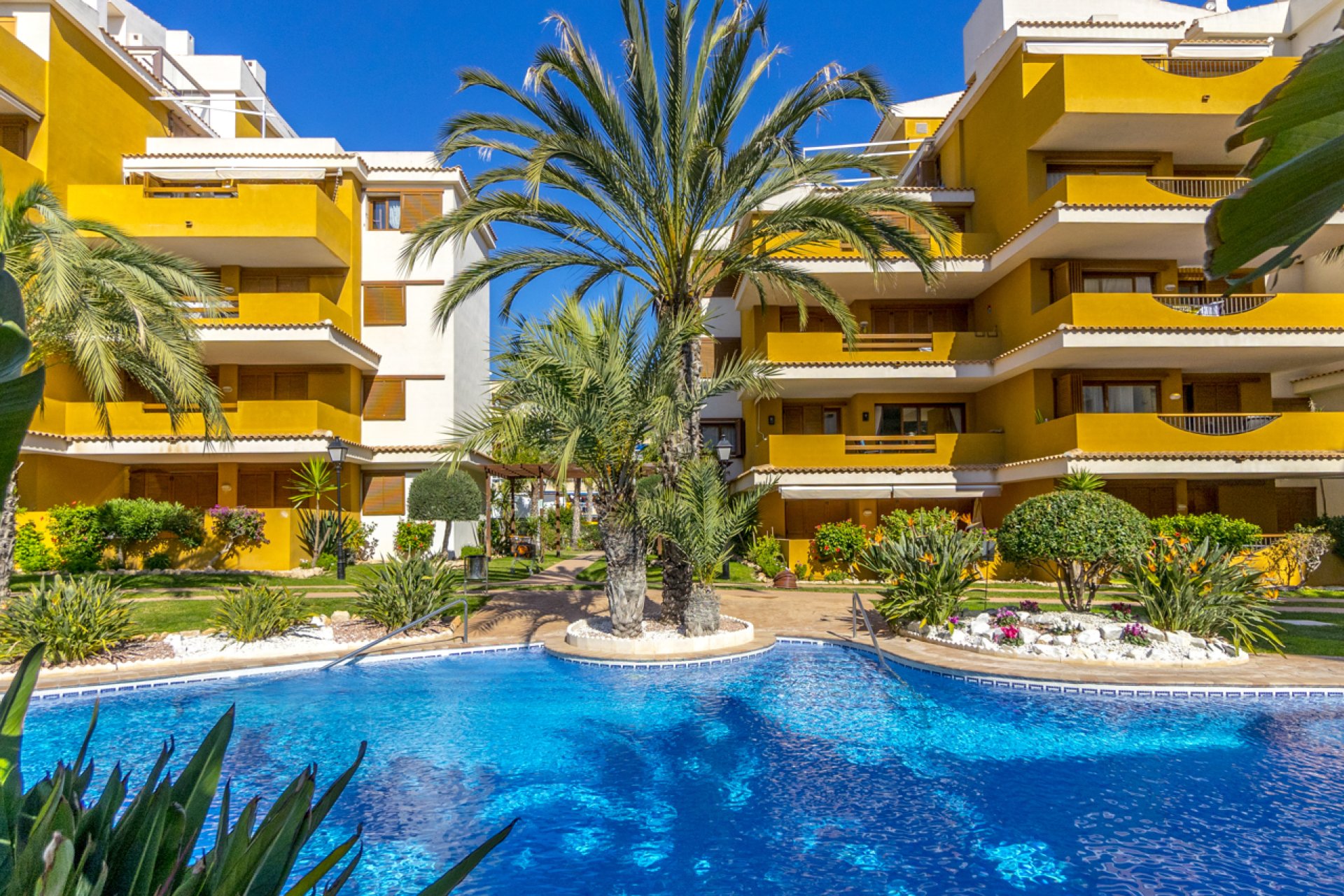 Használt Ingatlanok - Apartman -
Torrevieja - Costa Blanca