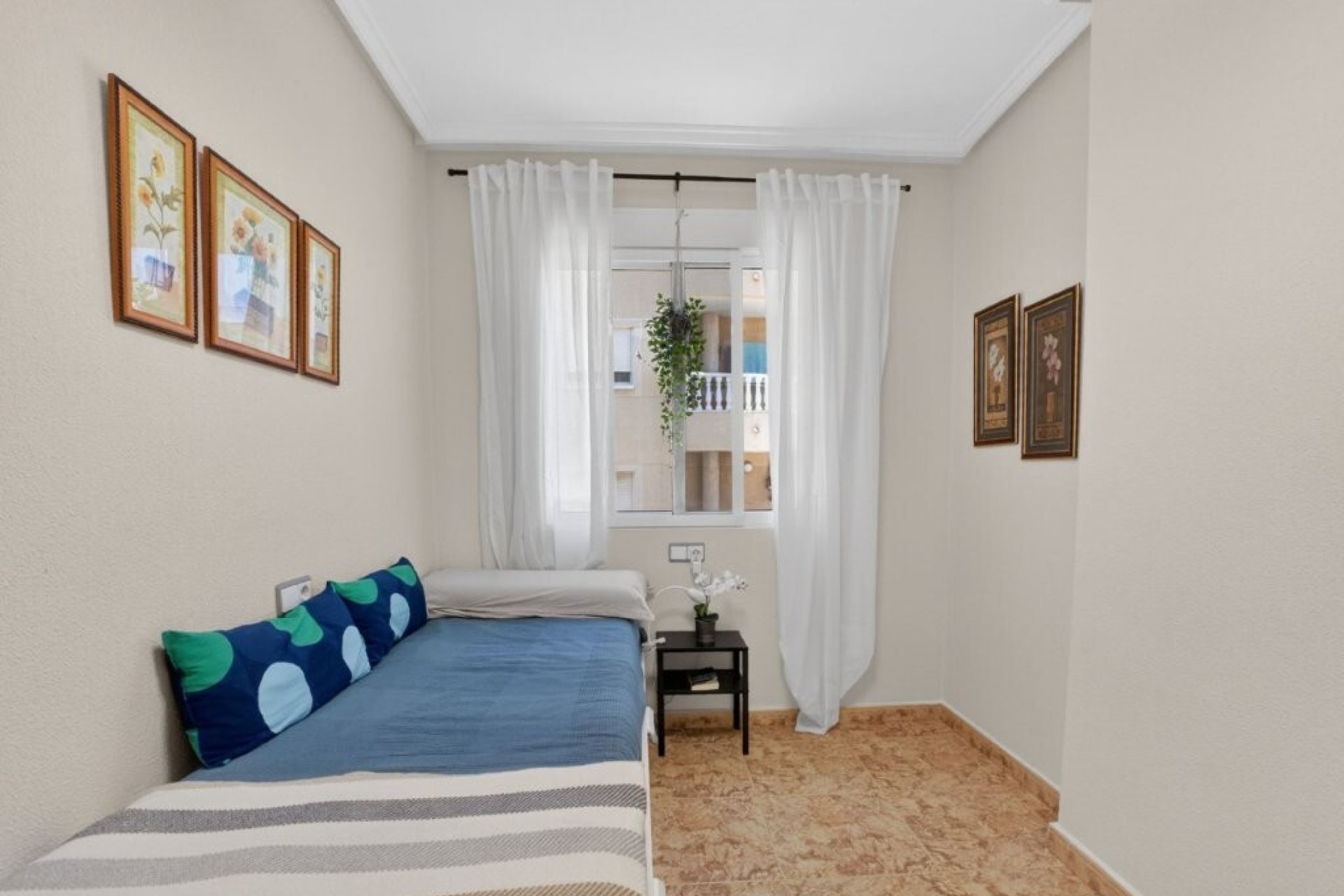 Használt Ingatlanok - Apartman -
Torrevieja - Costa Blanca