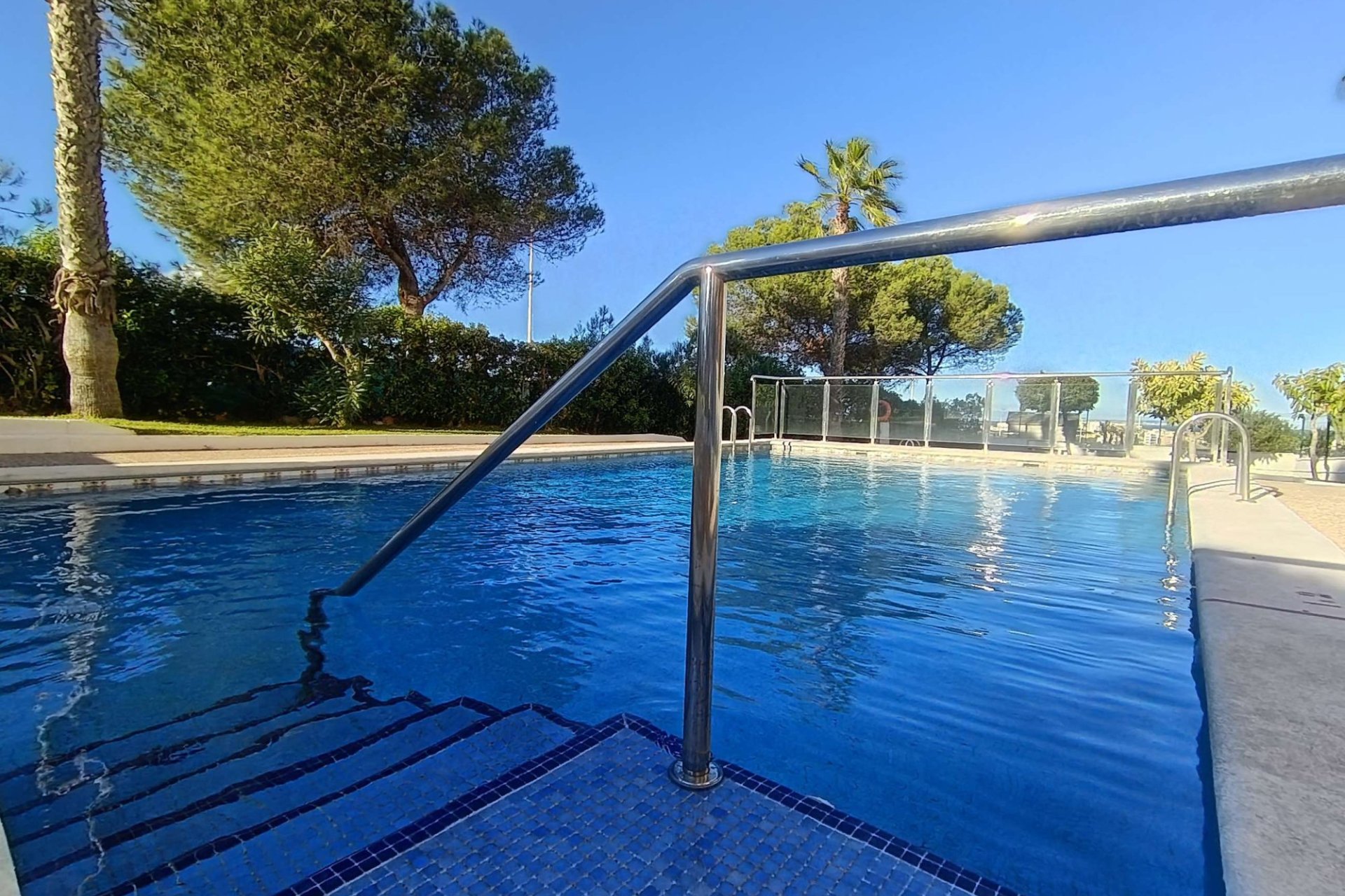 Használt Ingatlanok - Apartman -
Torrevieja - Costa Blanca