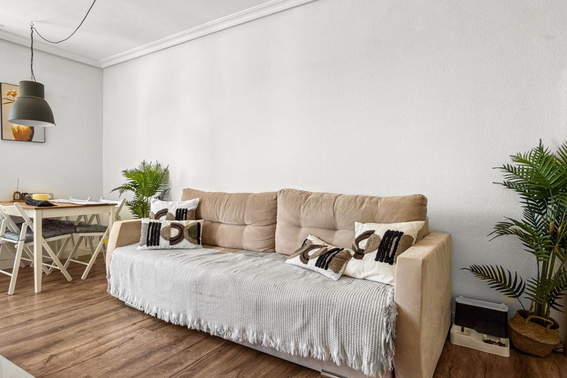 Használt Ingatlanok - Apartman -
Torrevieja - Costa Blanca