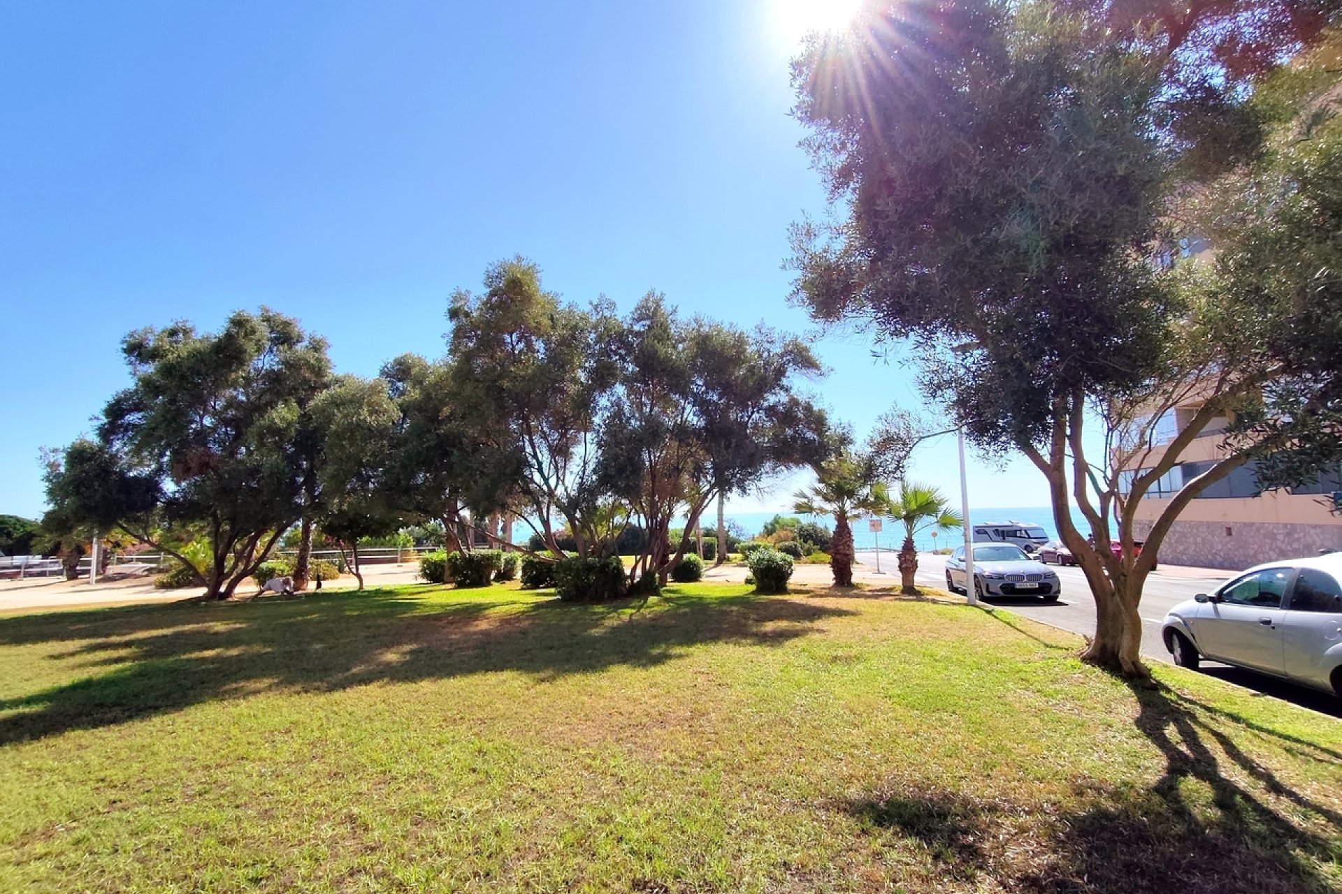 Használt Ingatlanok - Apartman -
Torrevieja - Costa Blanca