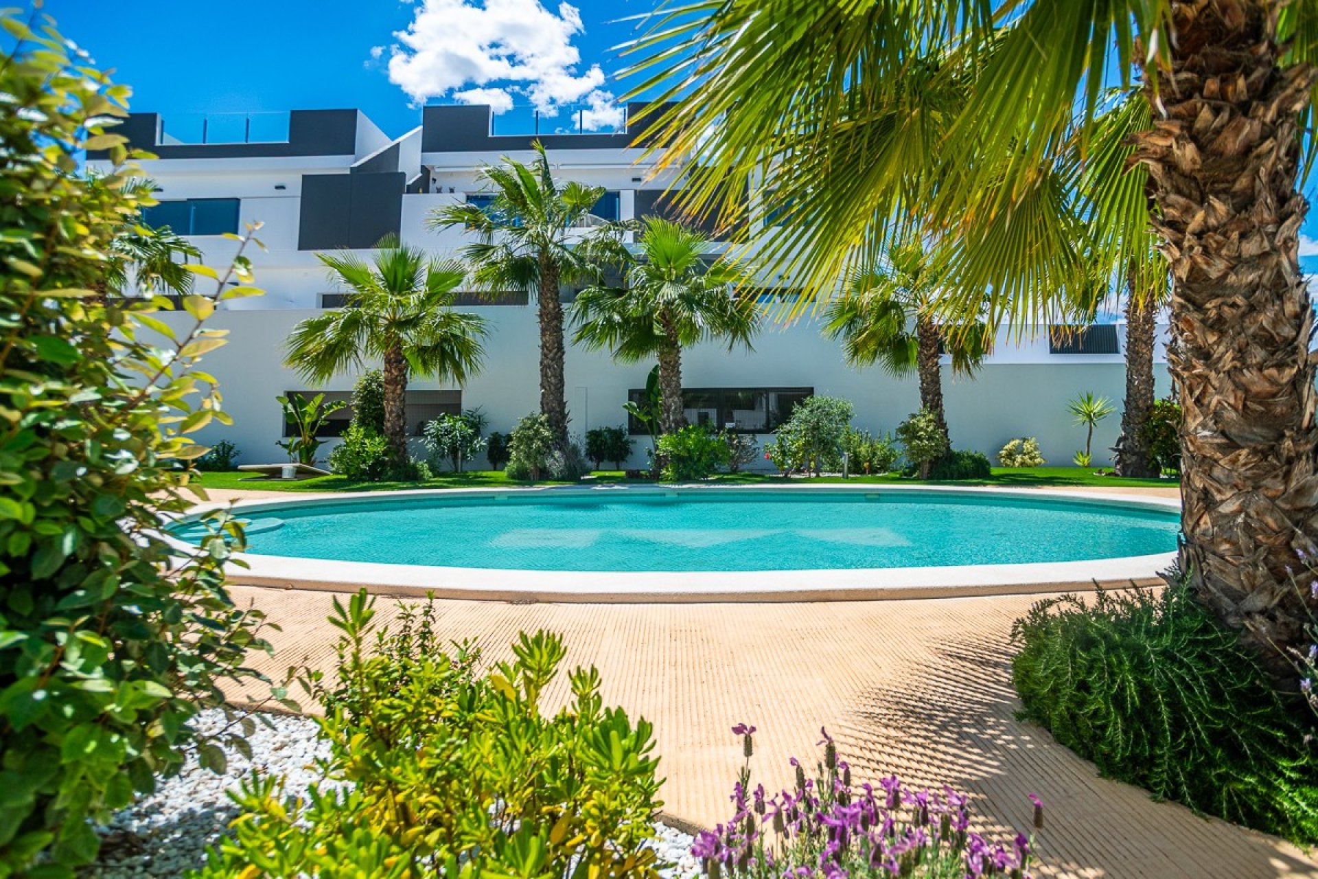 Használt Ingatlanok - Apartman -
Torrevieja - Costa Blanca