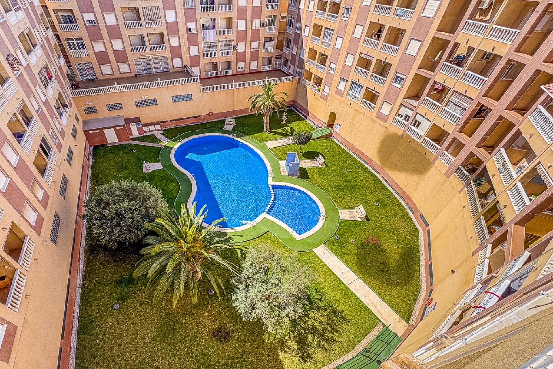 Használt Ingatlanok - Apartman -
Torrevieja - Costa Blanca