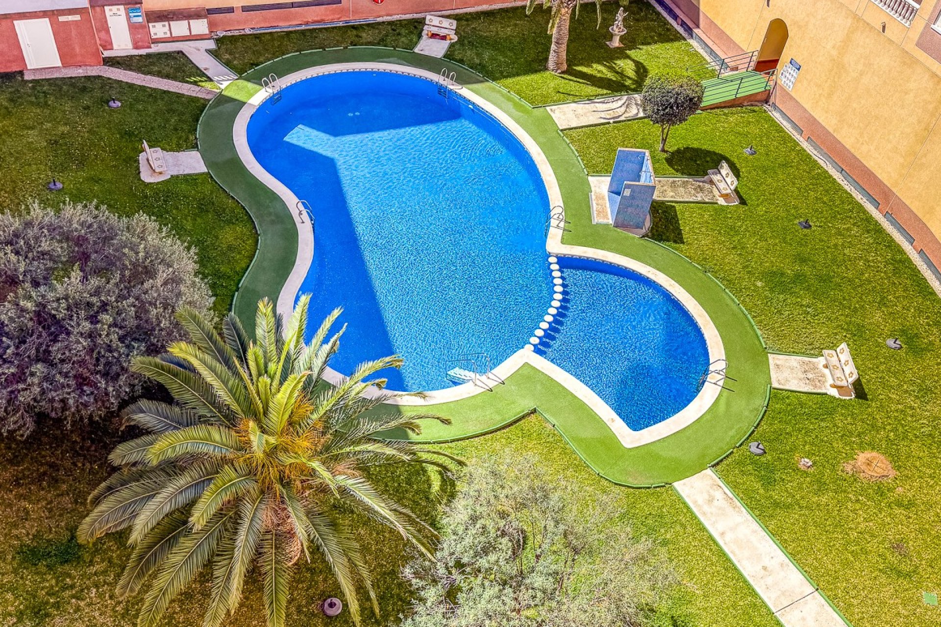 Használt Ingatlanok - Apartman -
Torrevieja - Costa Blanca