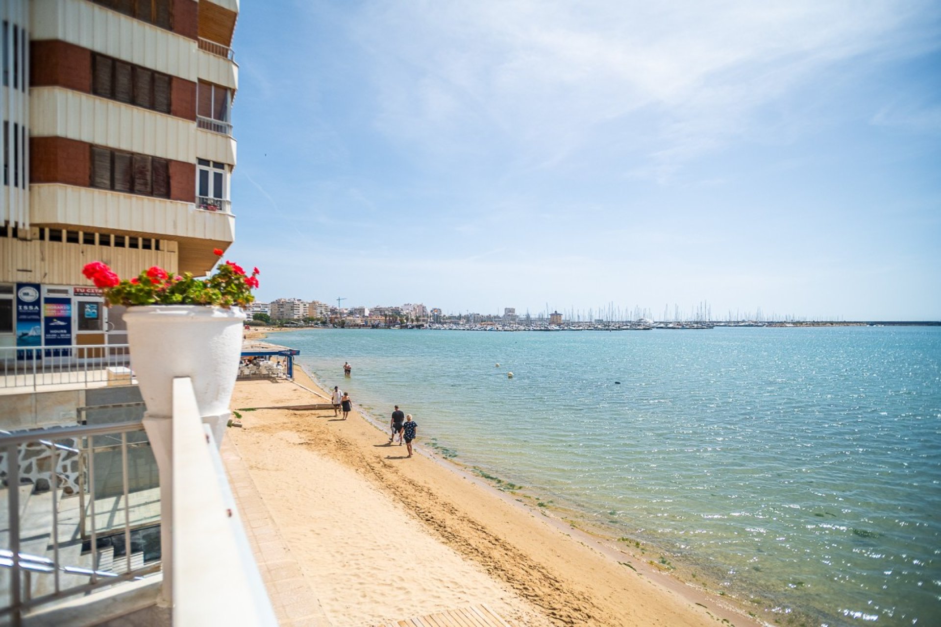 Használt Ingatlanok - Apartman -
Torrevieja - Costa Blanca