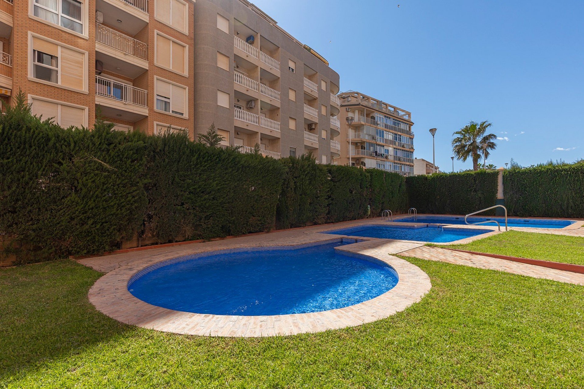 Használt Ingatlanok - Apartman -
Torrevieja - Costa Blanca