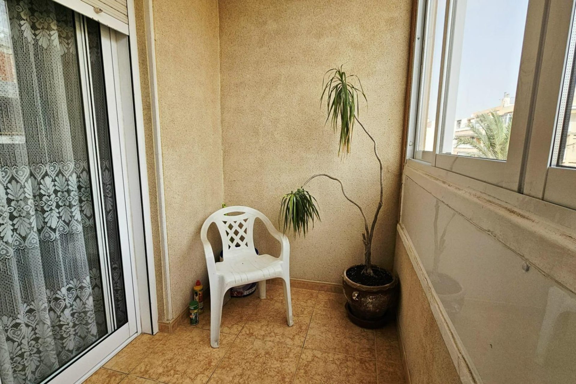 Használt Ingatlanok - Apartman -
Torrevieja - Curva Del Palangre