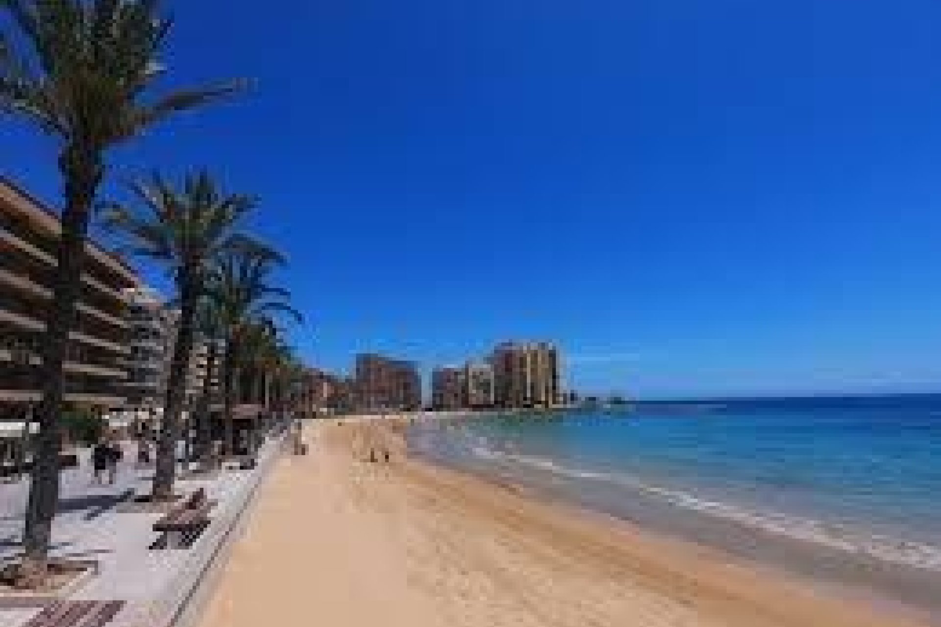Használt Ingatlanok - Apartman -
Torrevieja - Estacion De Autobuses