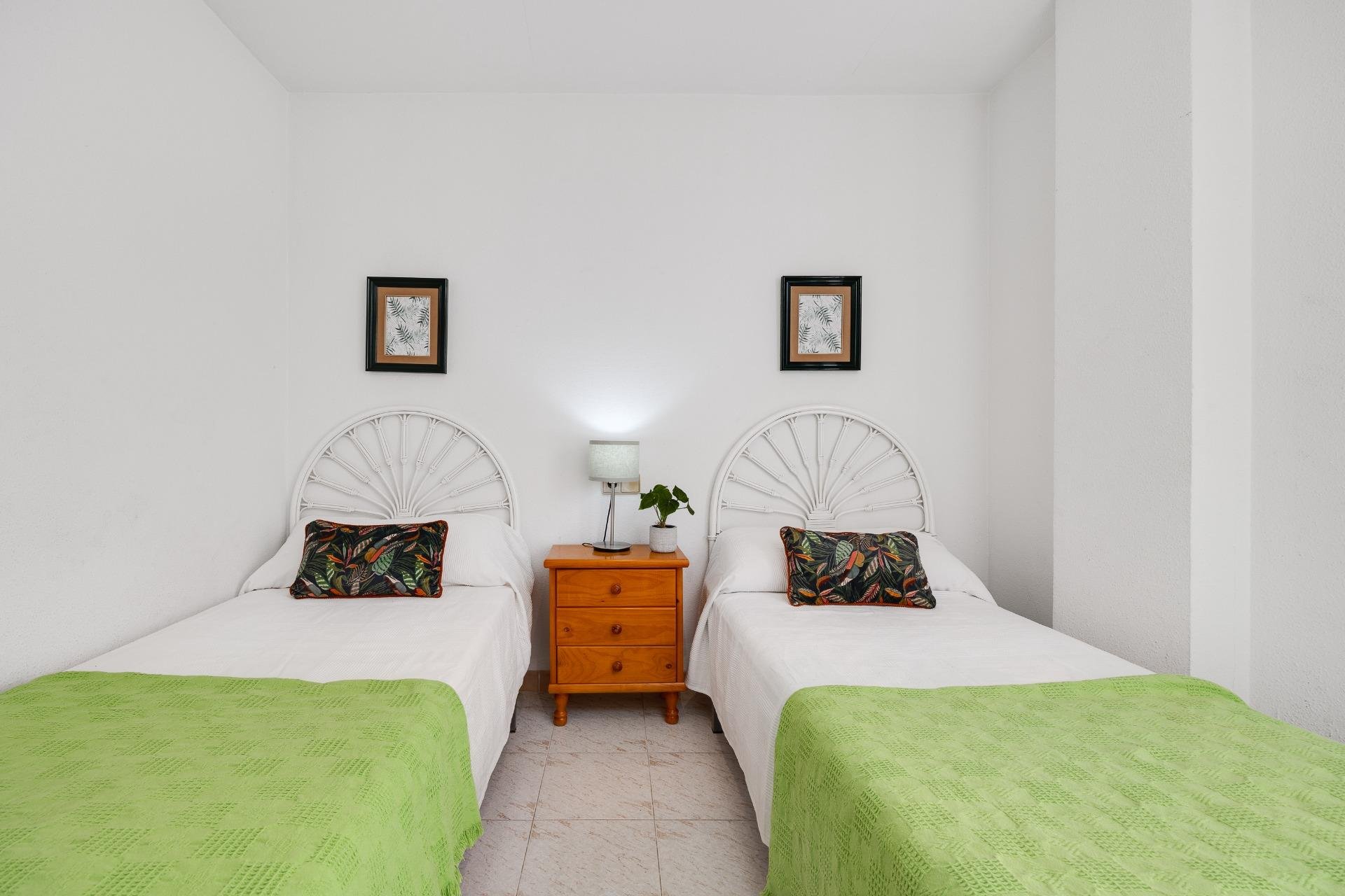 Használt Ingatlanok - Apartman -
Torrevieja - Estacion De Autobuses