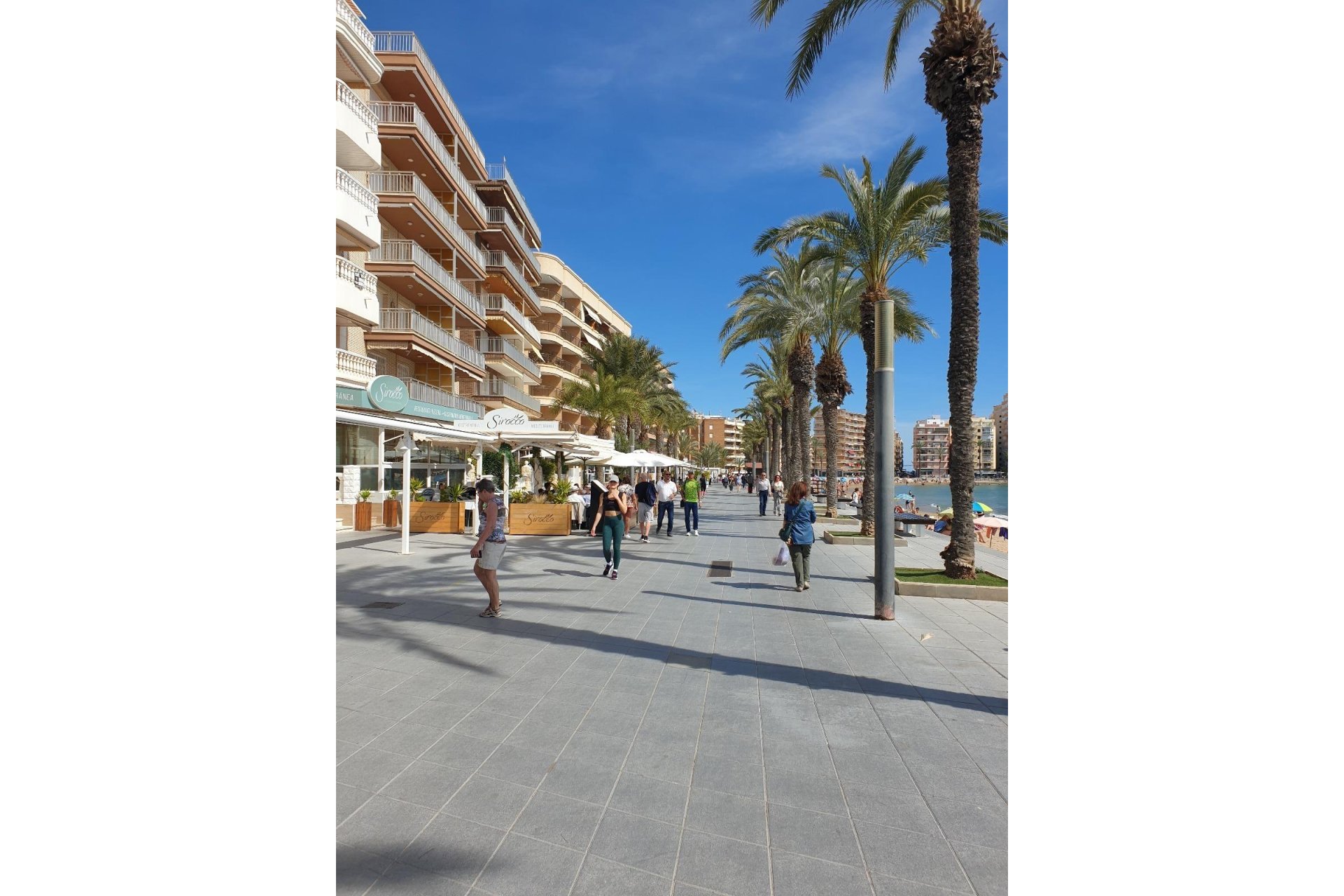 Használt Ingatlanok - Apartman -
Torrevieja - Estacion De Autobuses