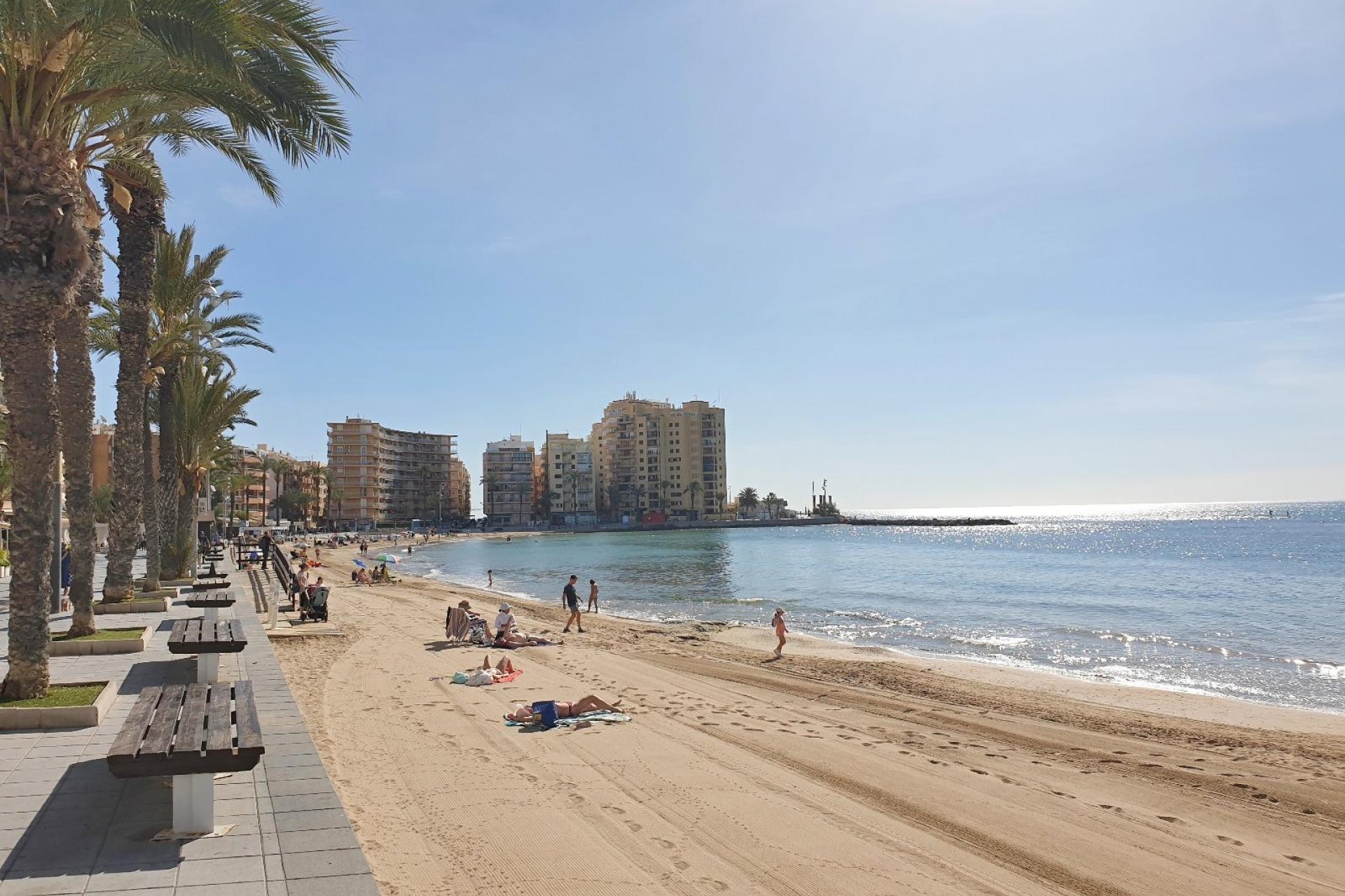Használt Ingatlanok - Apartman -
Torrevieja - Estacion De Autobuses