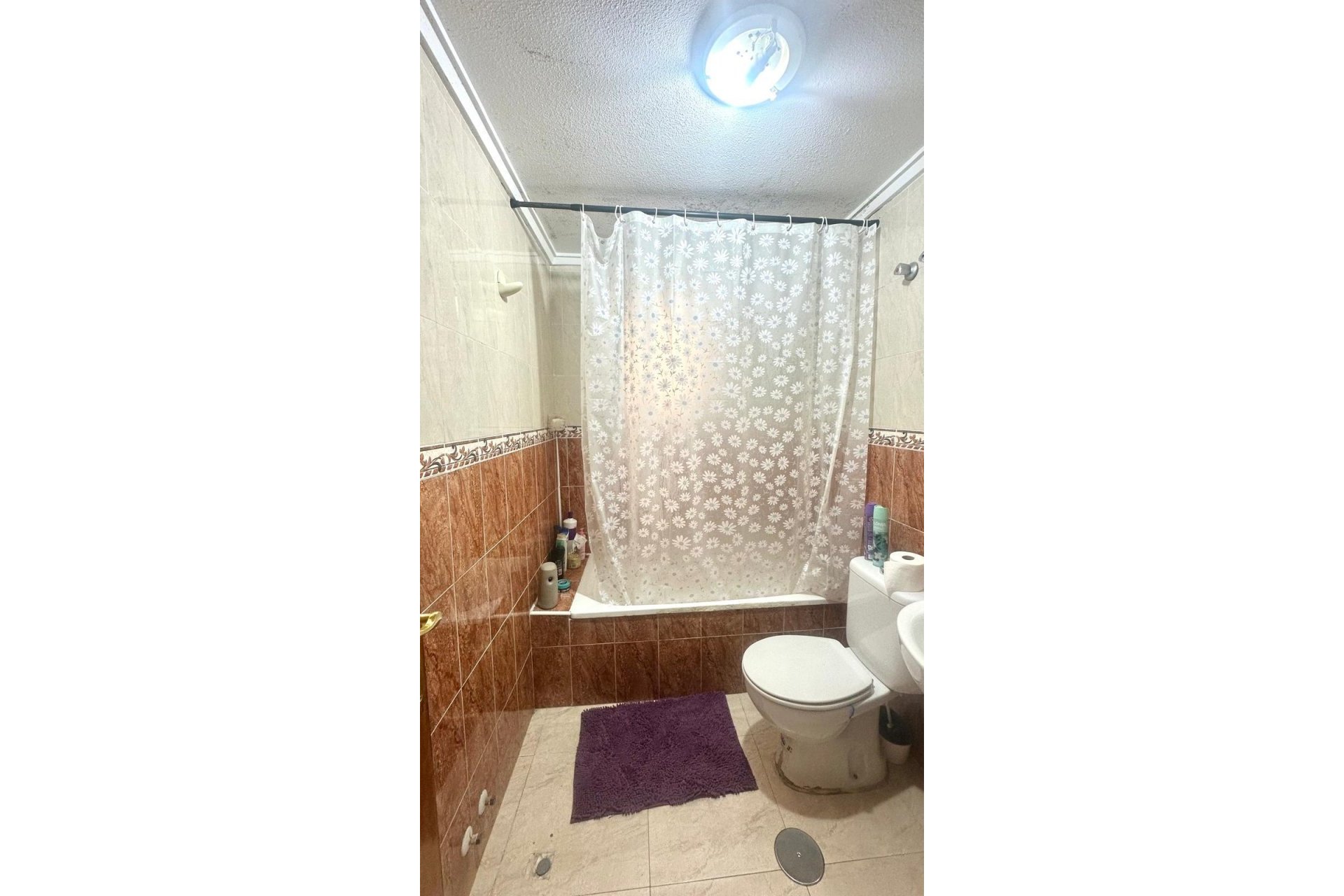 Használt Ingatlanok - Apartman -
Torrevieja - Estacion De Autobuses
