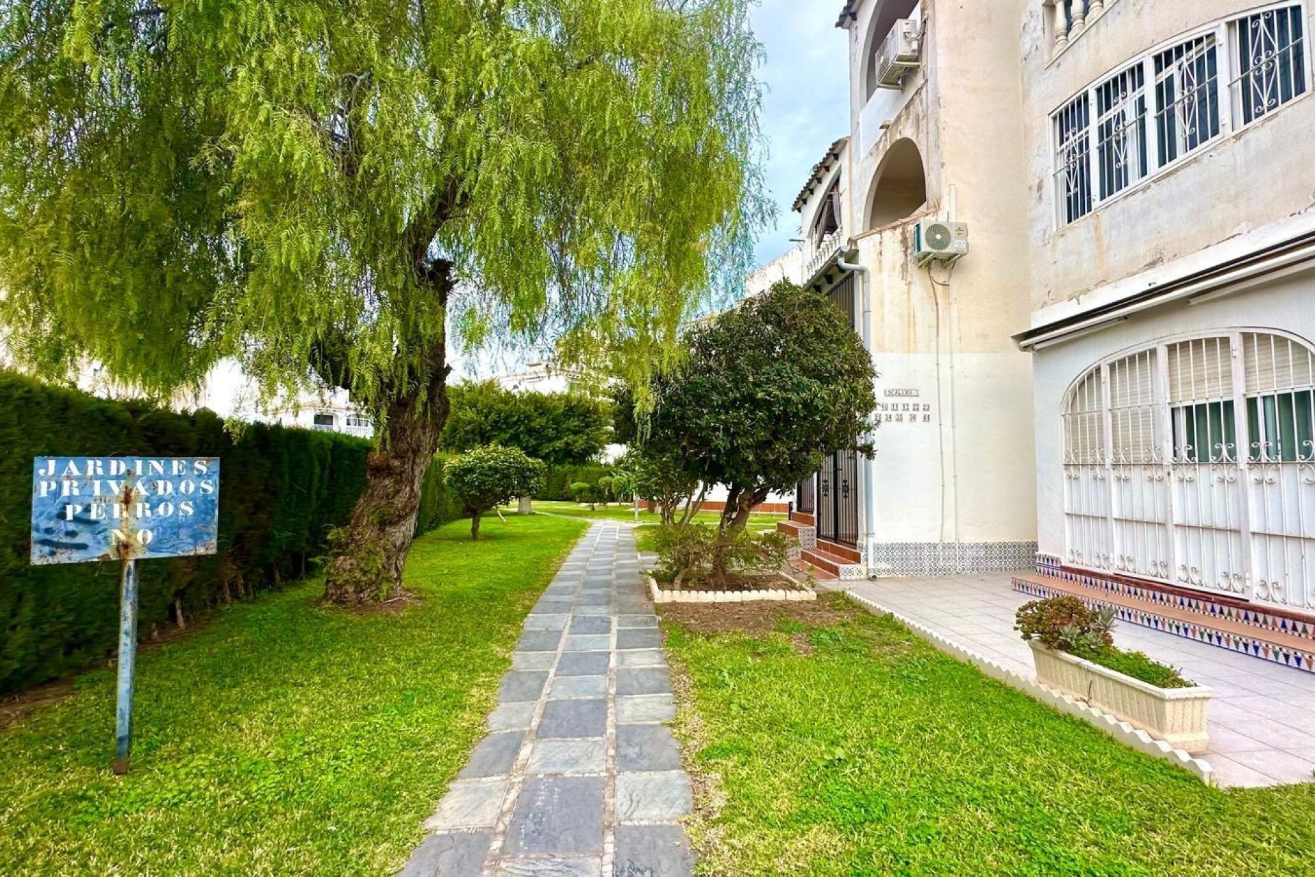 Használt Ingatlanok - Apartman -
Torrevieja - Estacion De Autobuses