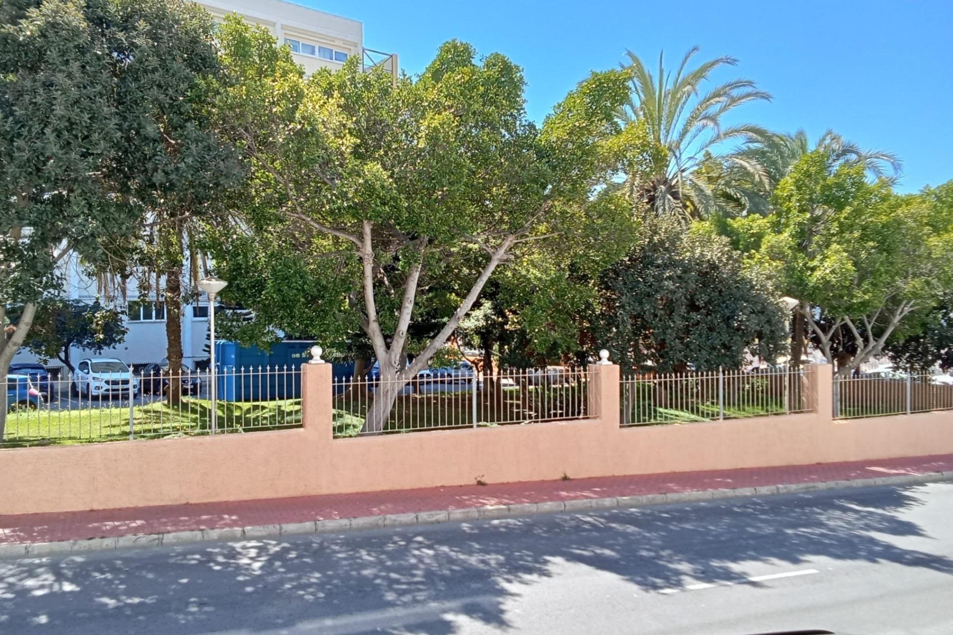 Használt Ingatlanok - Apartman -
Torrevieja - Estacion De Autobuses