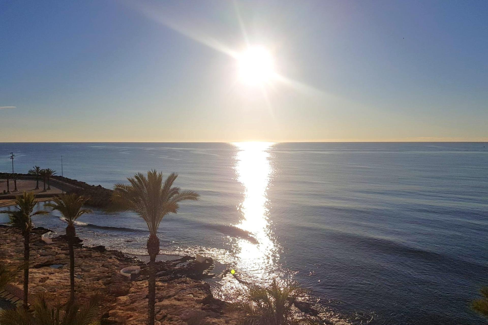 Használt Ingatlanok - Apartman -
Torrevieja - Estacion De Autobuses