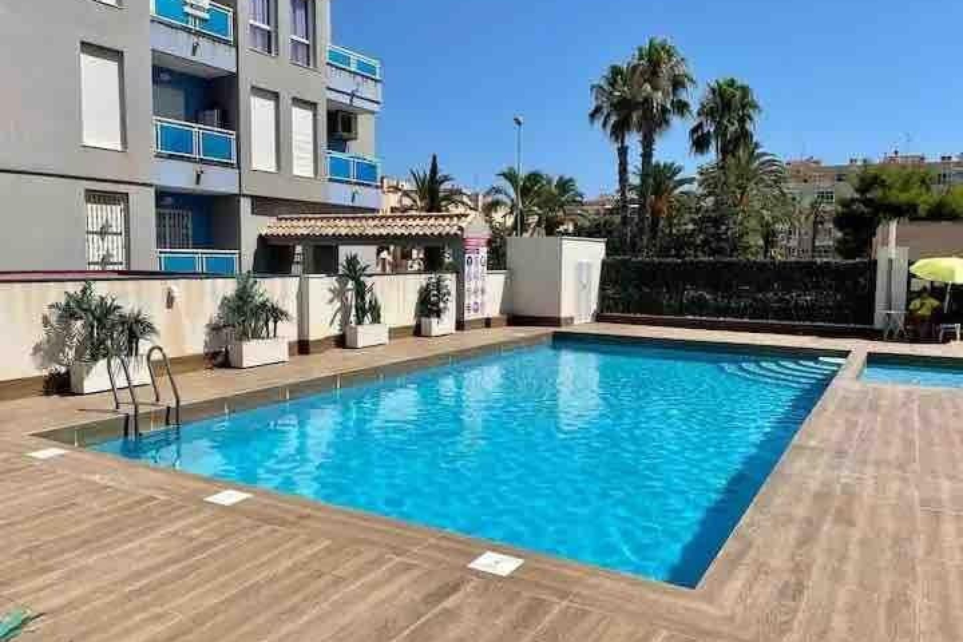 Használt Ingatlanok - Apartman -
Torrevieja - Estacion De Autobuses