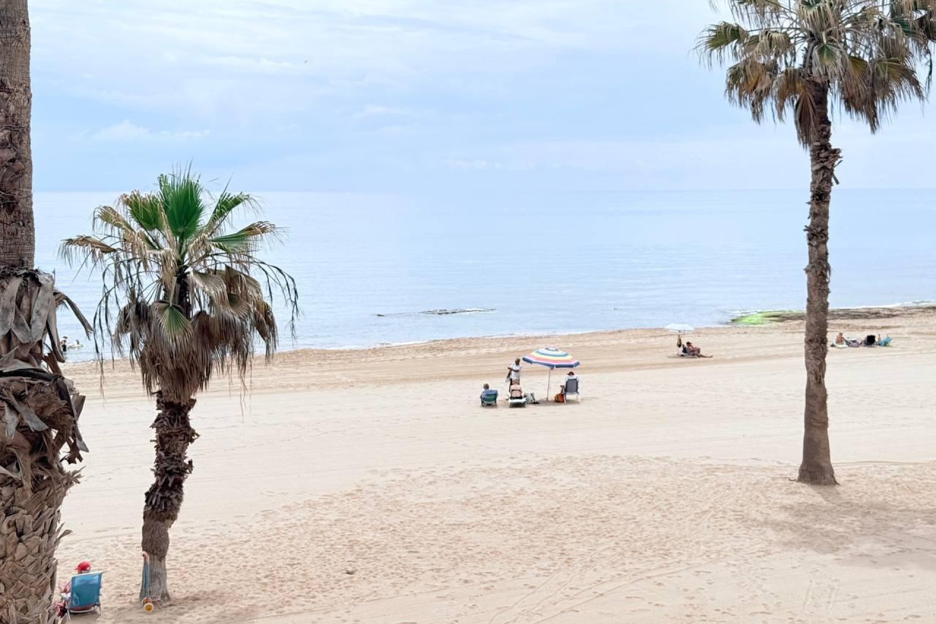 Használt Ingatlanok - Apartman -
Torrevieja - La Mata