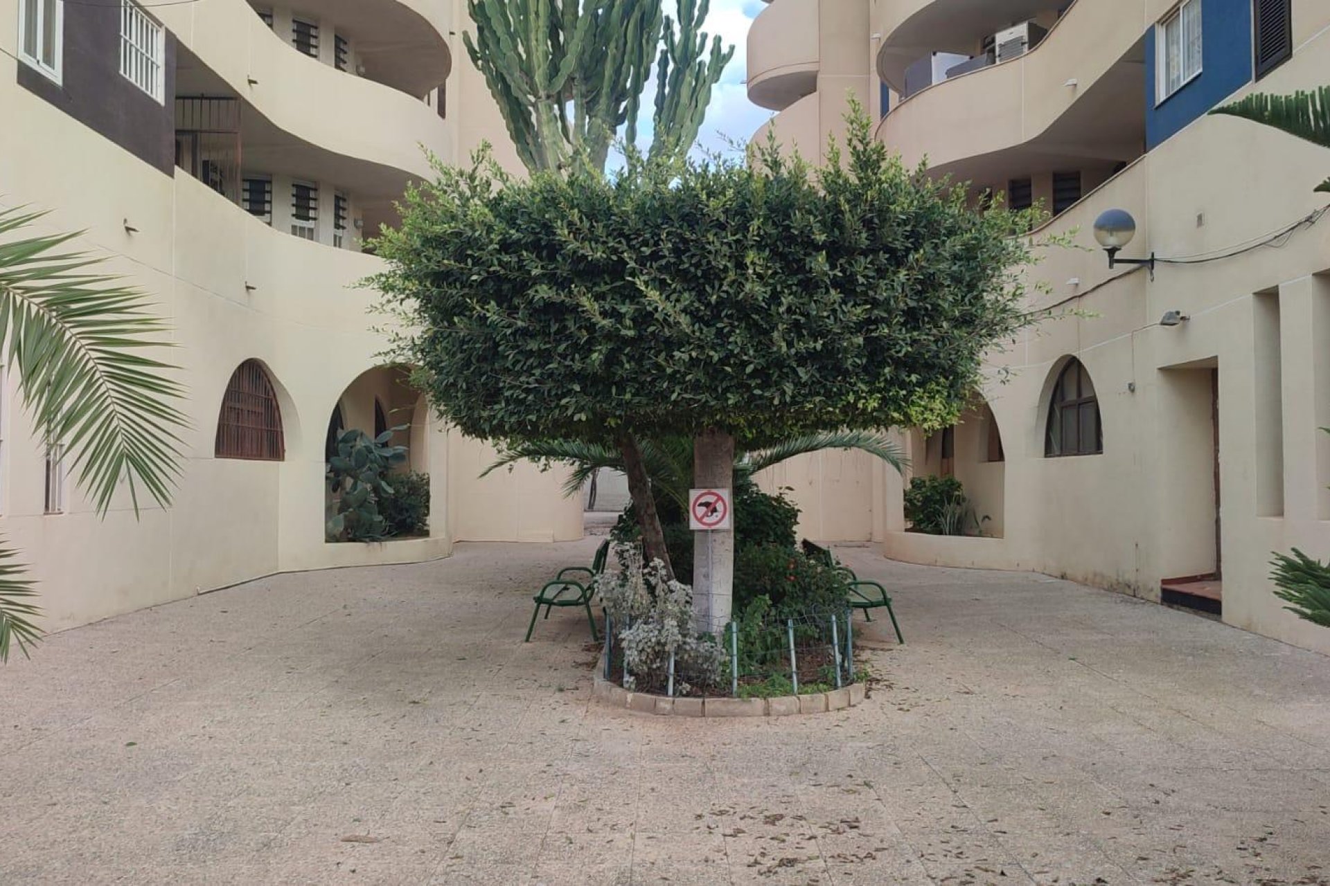 Használt Ingatlanok - Apartman -
Torrevieja - La Veleta