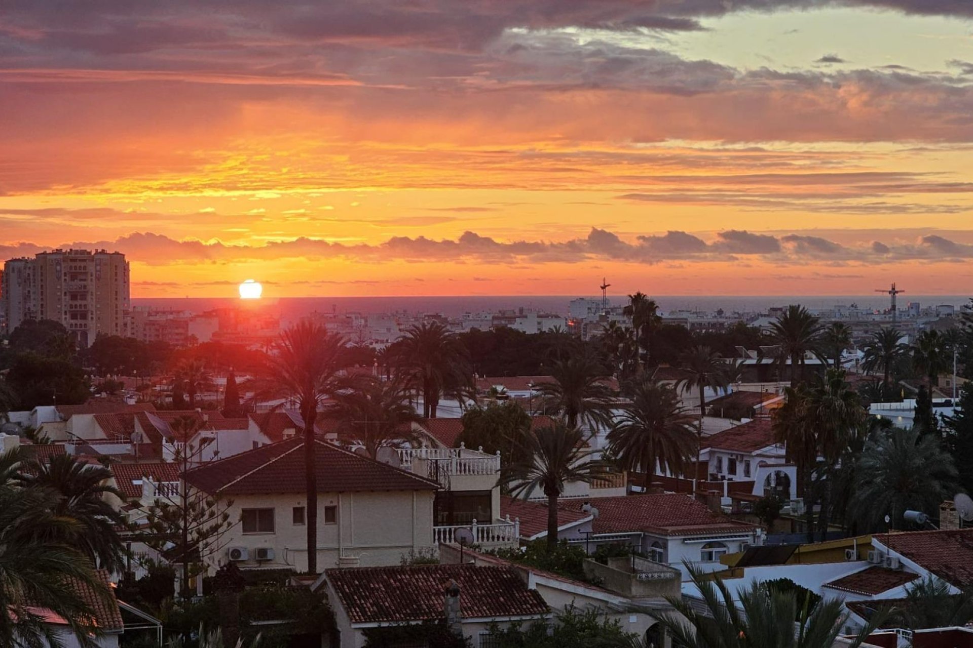 Használt Ingatlanok - Apartman -
Torrevieja - Nueva Torrevieja