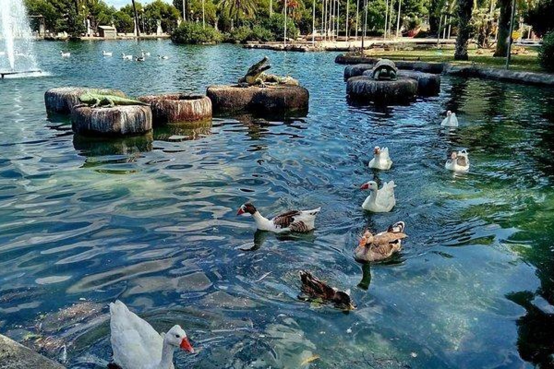 Használt Ingatlanok - Apartman -
Torrevieja - Parque Las Naciones