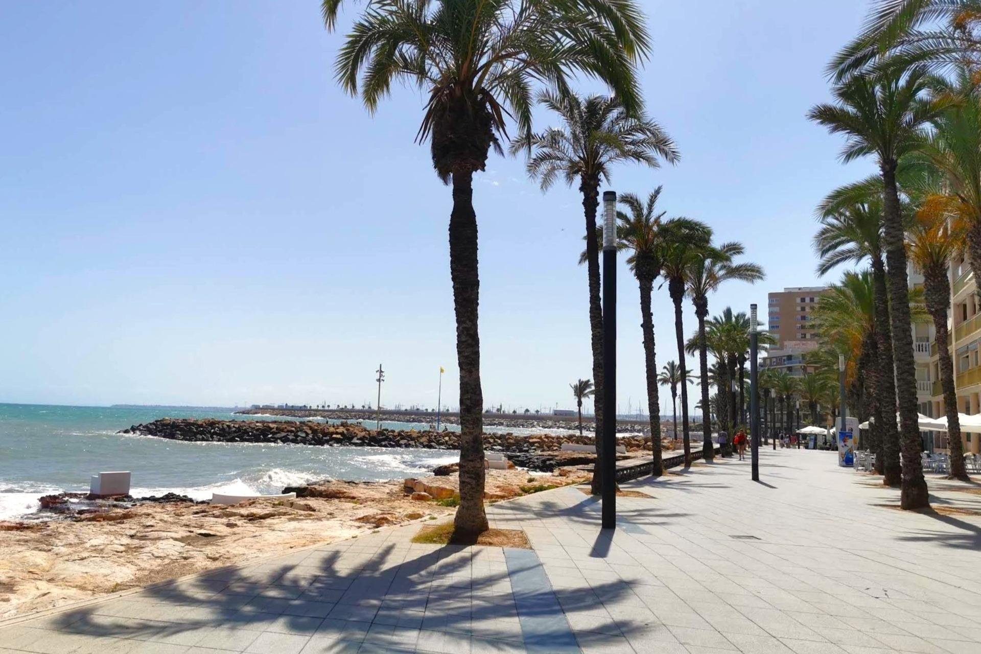 Használt Ingatlanok - Apartman -
Torrevieja - Paseo Maritimo