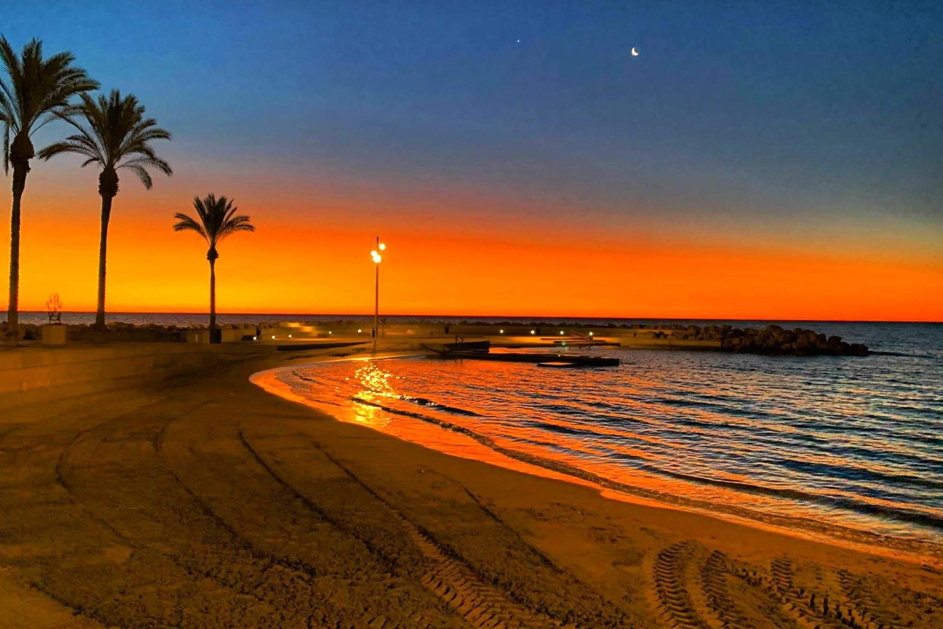 Használt Ingatlanok - Apartman -
Torrevieja - Paseo Maritimo