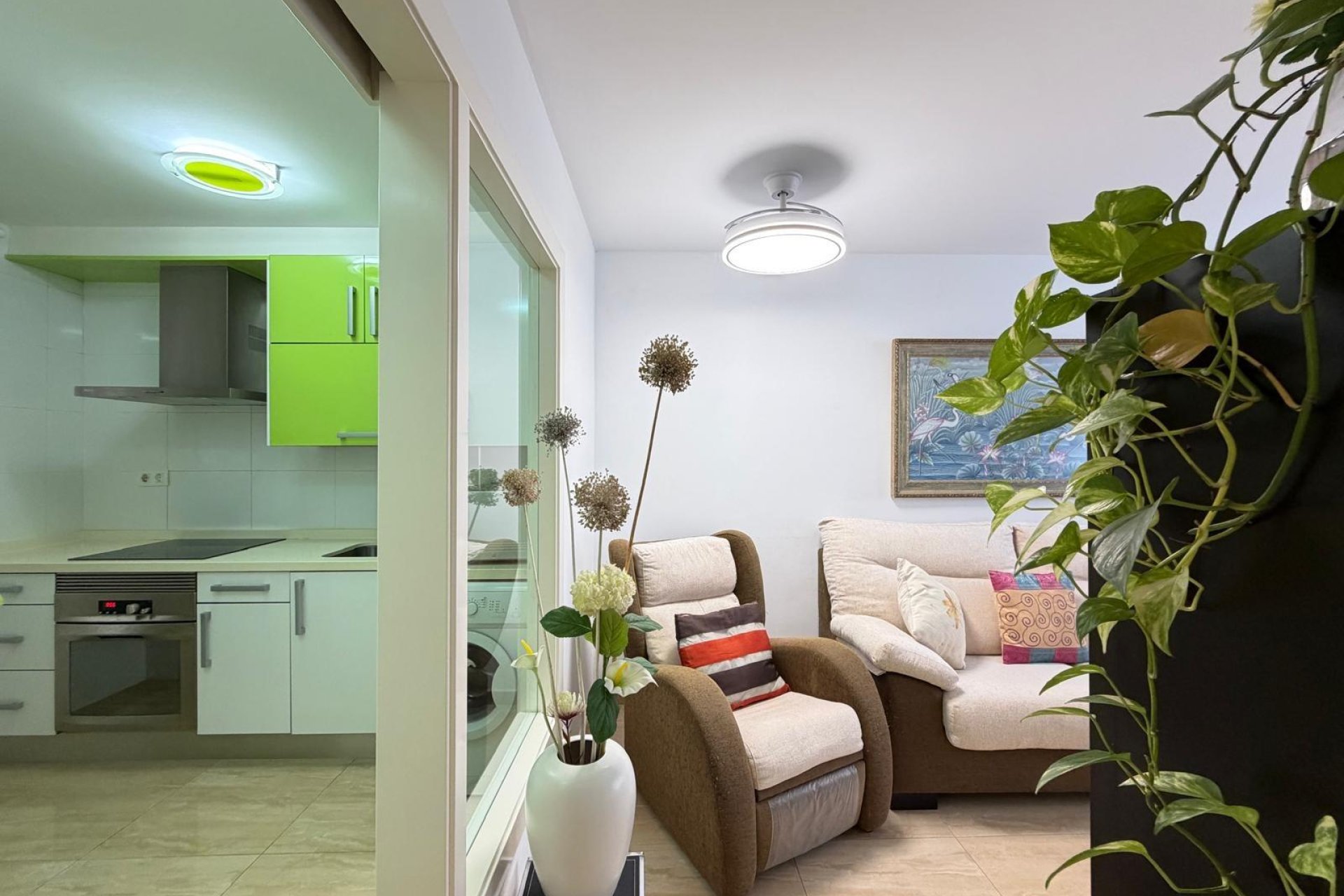 Használt Ingatlanok - Apartman -
Torrevieja - Paseo Maritimo