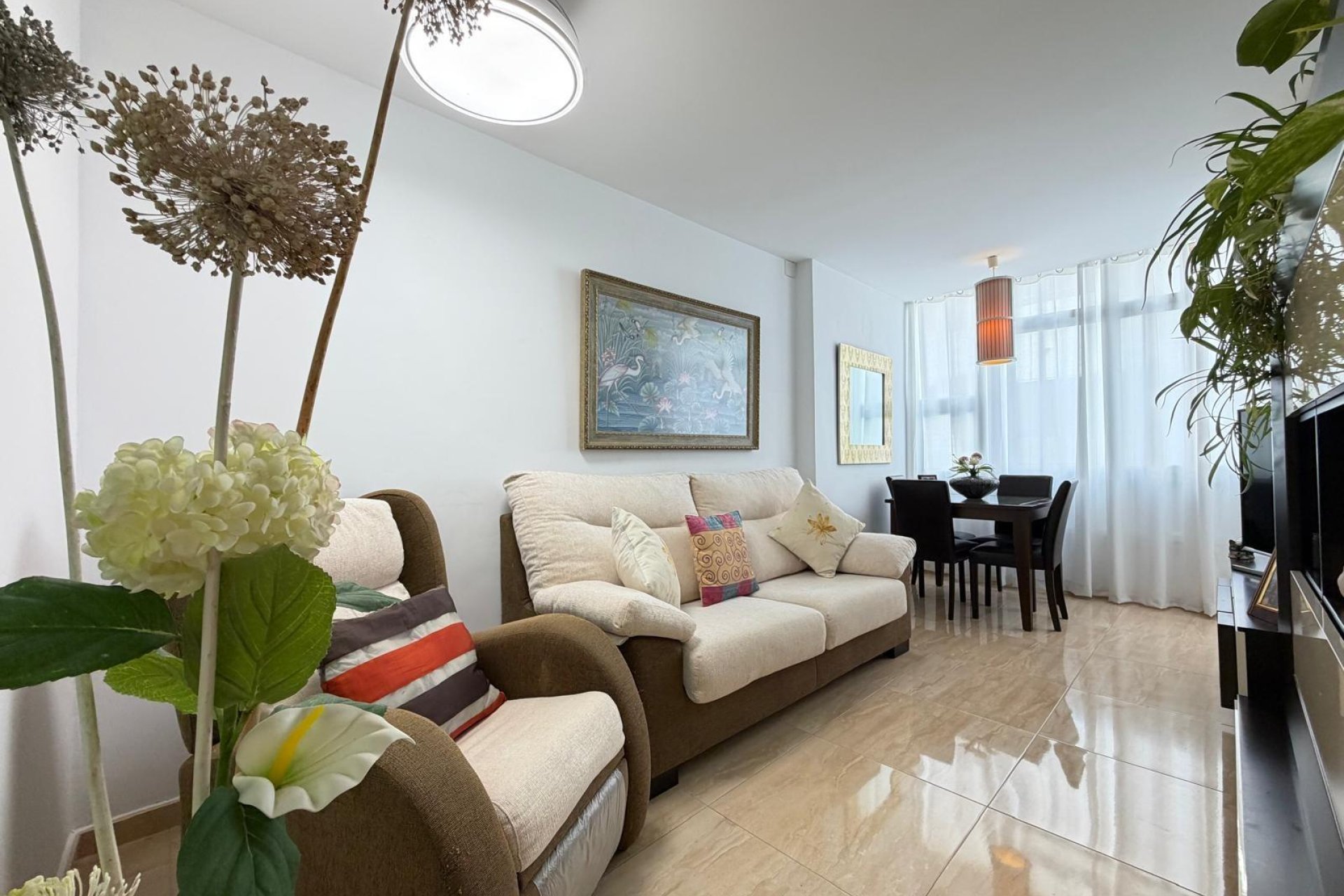 Használt Ingatlanok - Apartman -
Torrevieja - Paseo Maritimo