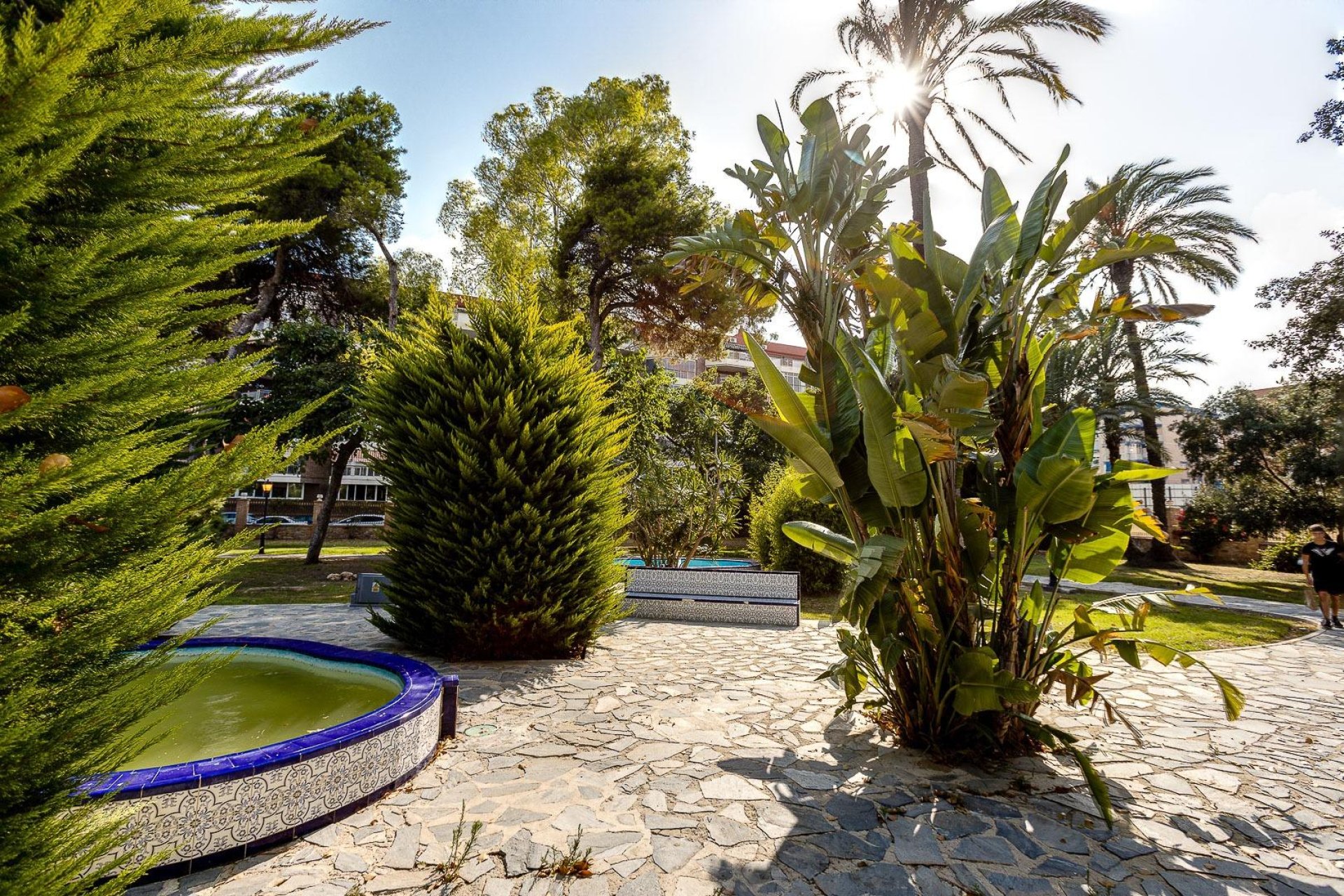 Használt Ingatlanok - Apartman -
Torrevieja - Playa De Los Naufragos