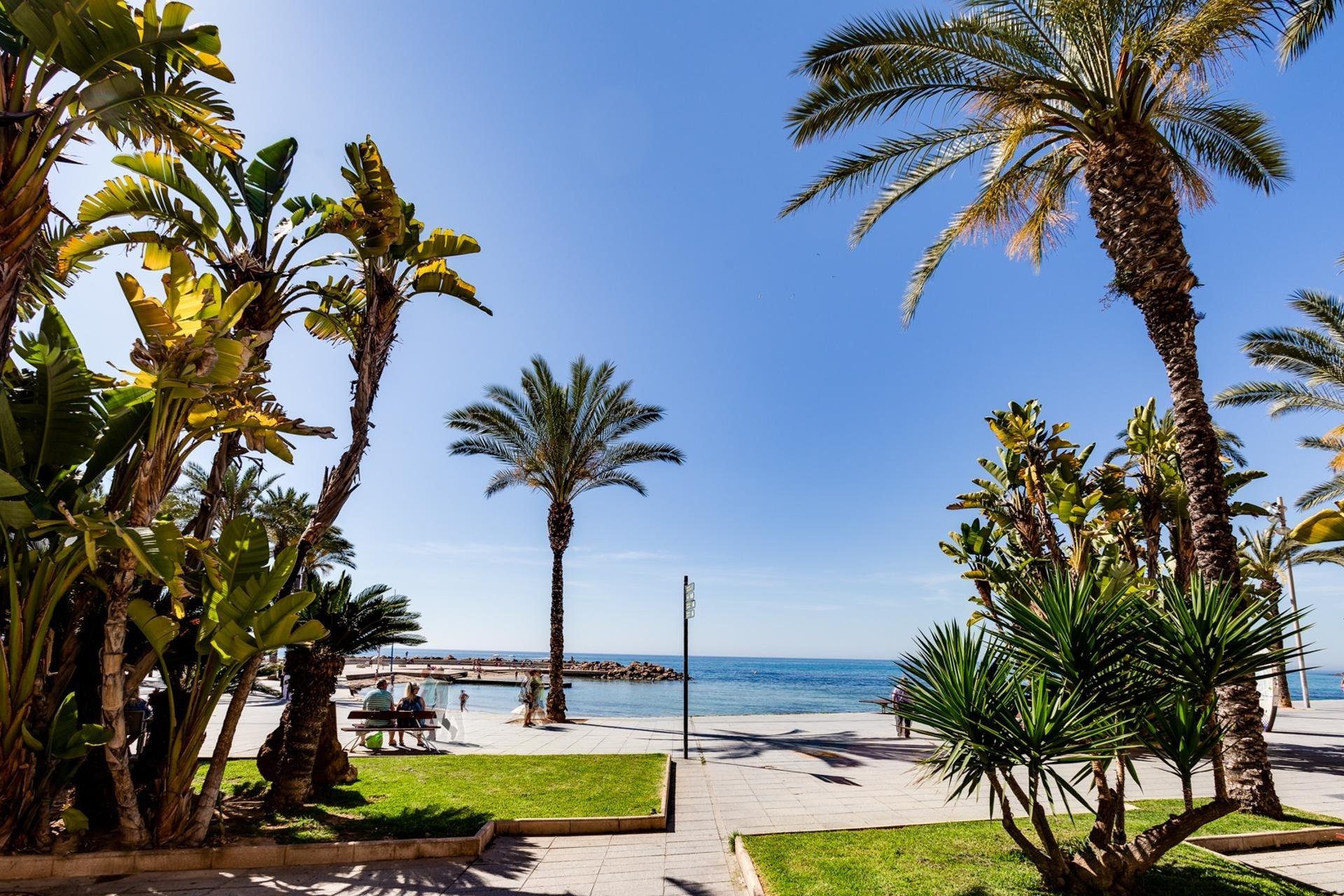 Használt Ingatlanok - Apartman -
Torrevieja - Playa del Cura