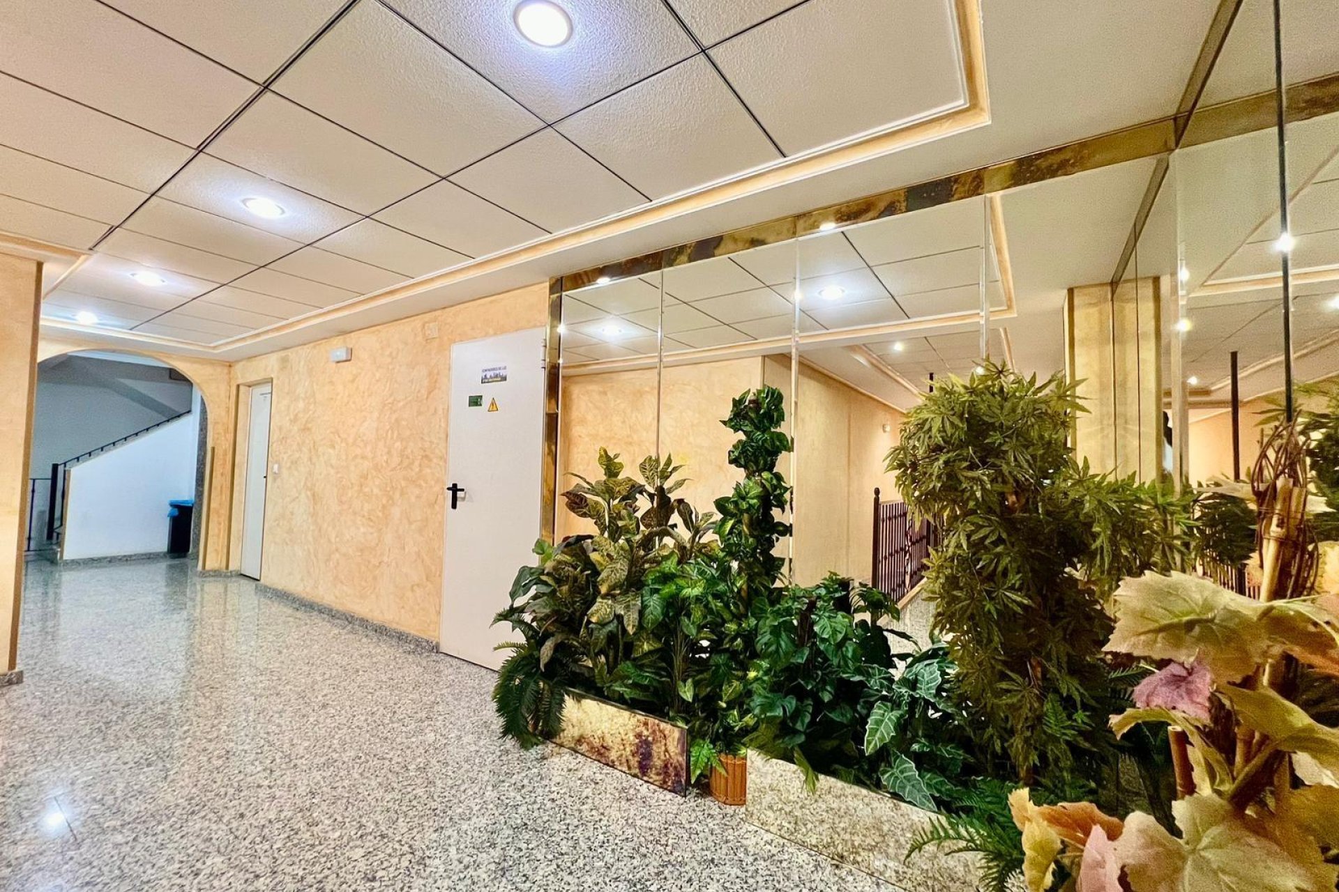 Használt Ingatlanok - Apartman -
Torrevieja - Playa del Cura