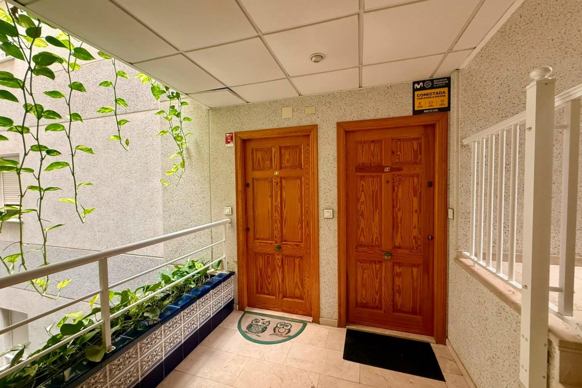 Használt Ingatlanok - Apartman -
Torrevieja - Playa del Cura
