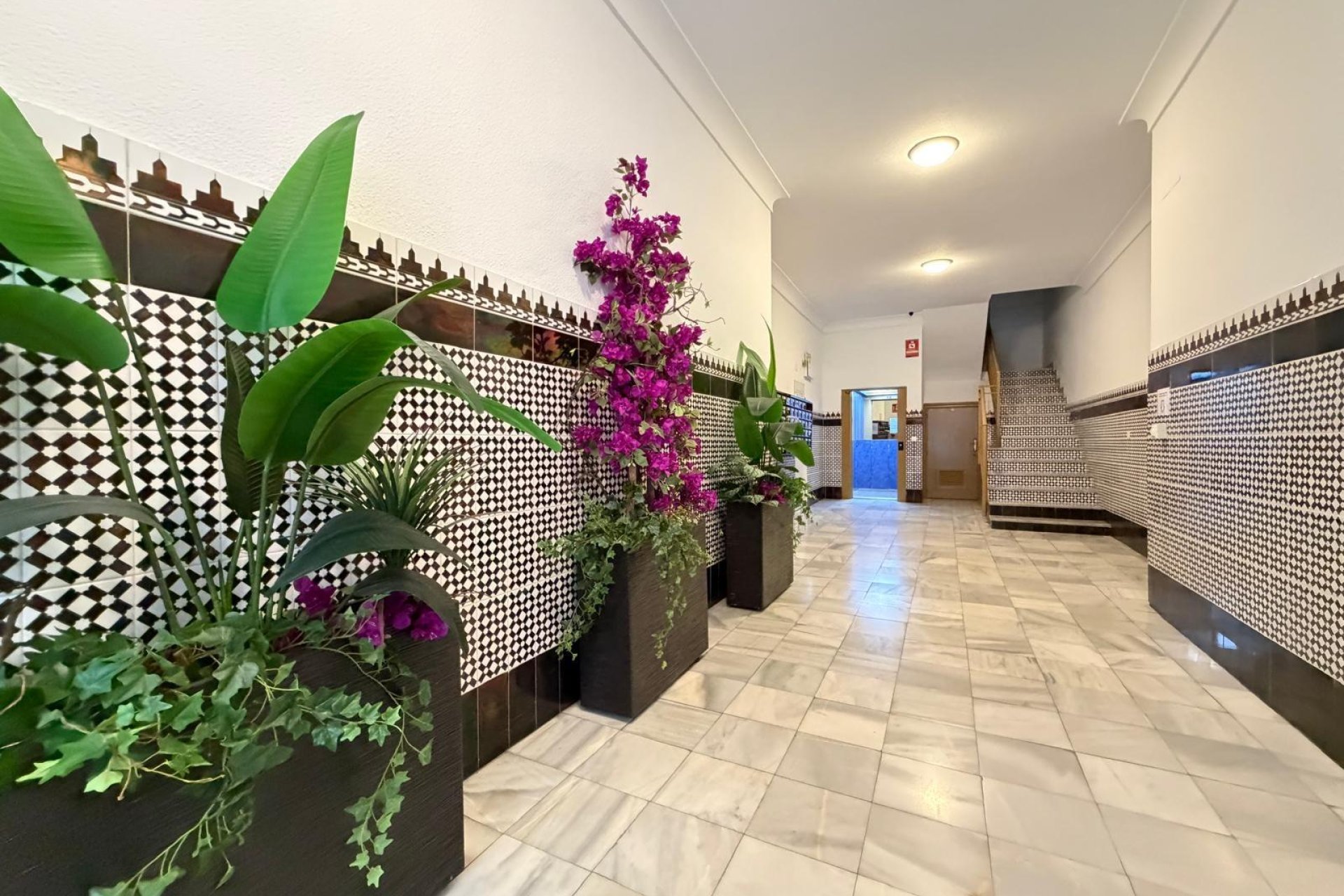 Használt Ingatlanok - Apartman -
Torrevieja - Playa del Cura