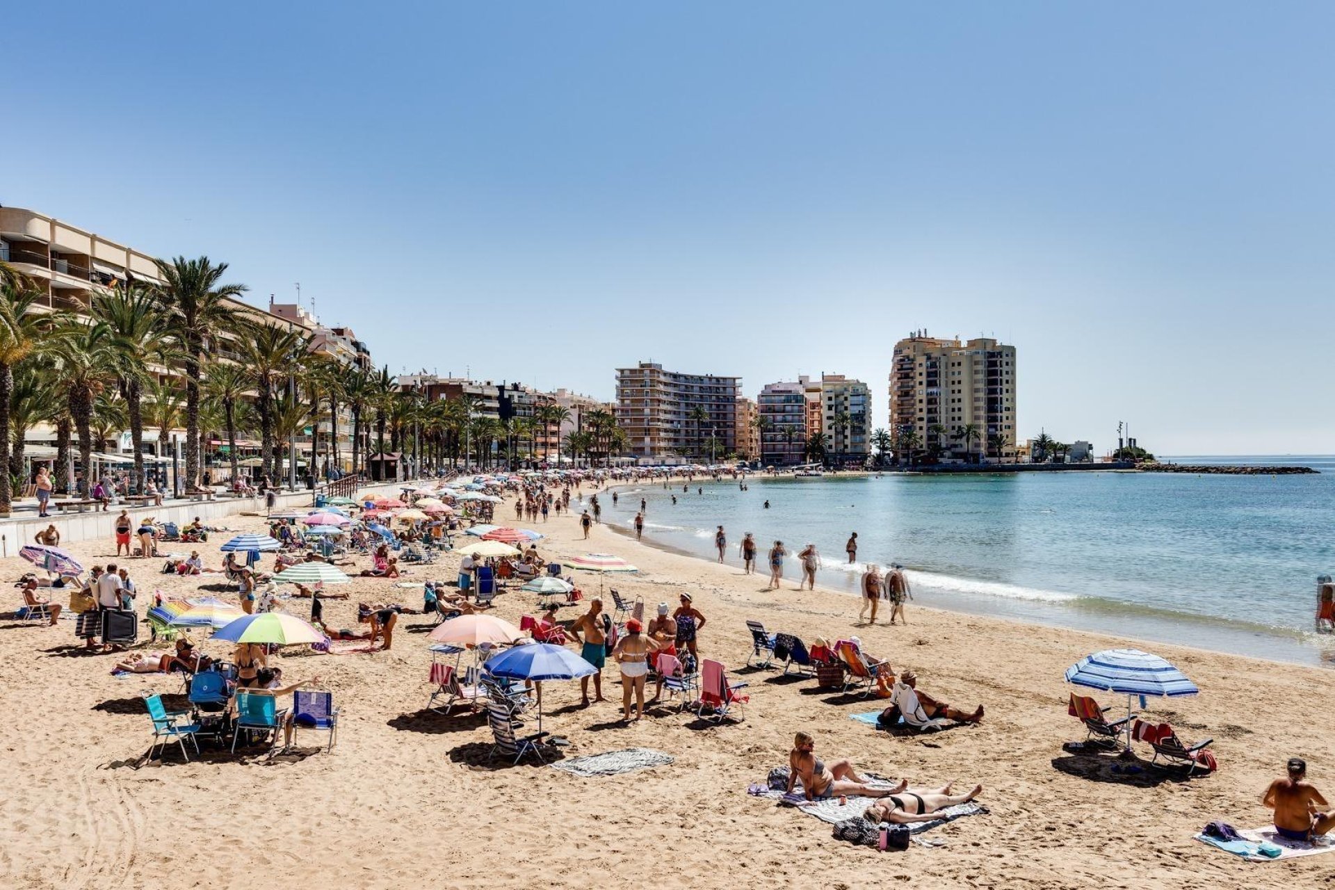 Használt Ingatlanok - Apartman -
Torrevieja - Playa del Cura
