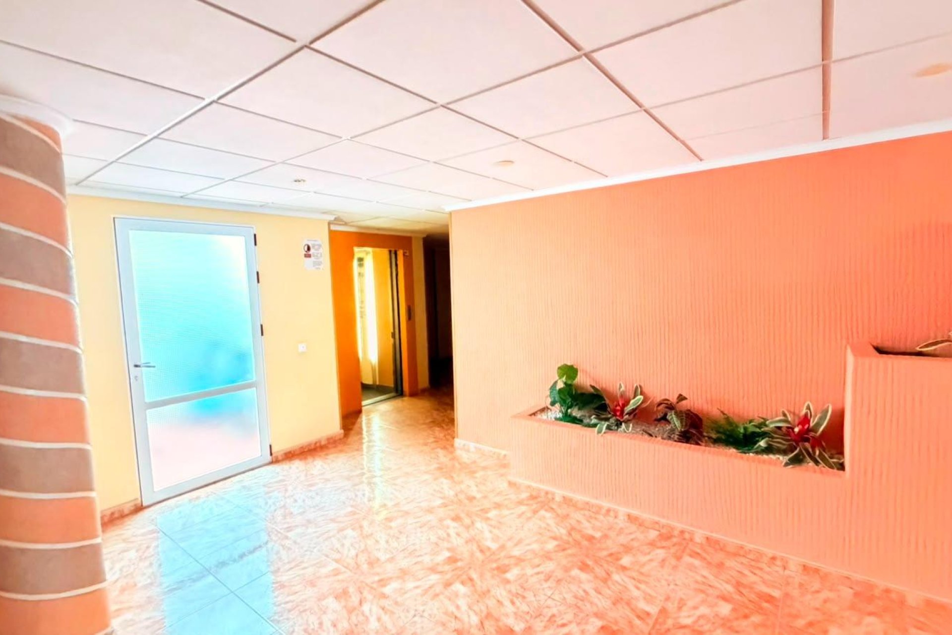 Használt Ingatlanok - Apartman -
Torrevieja - Playa del Cura
