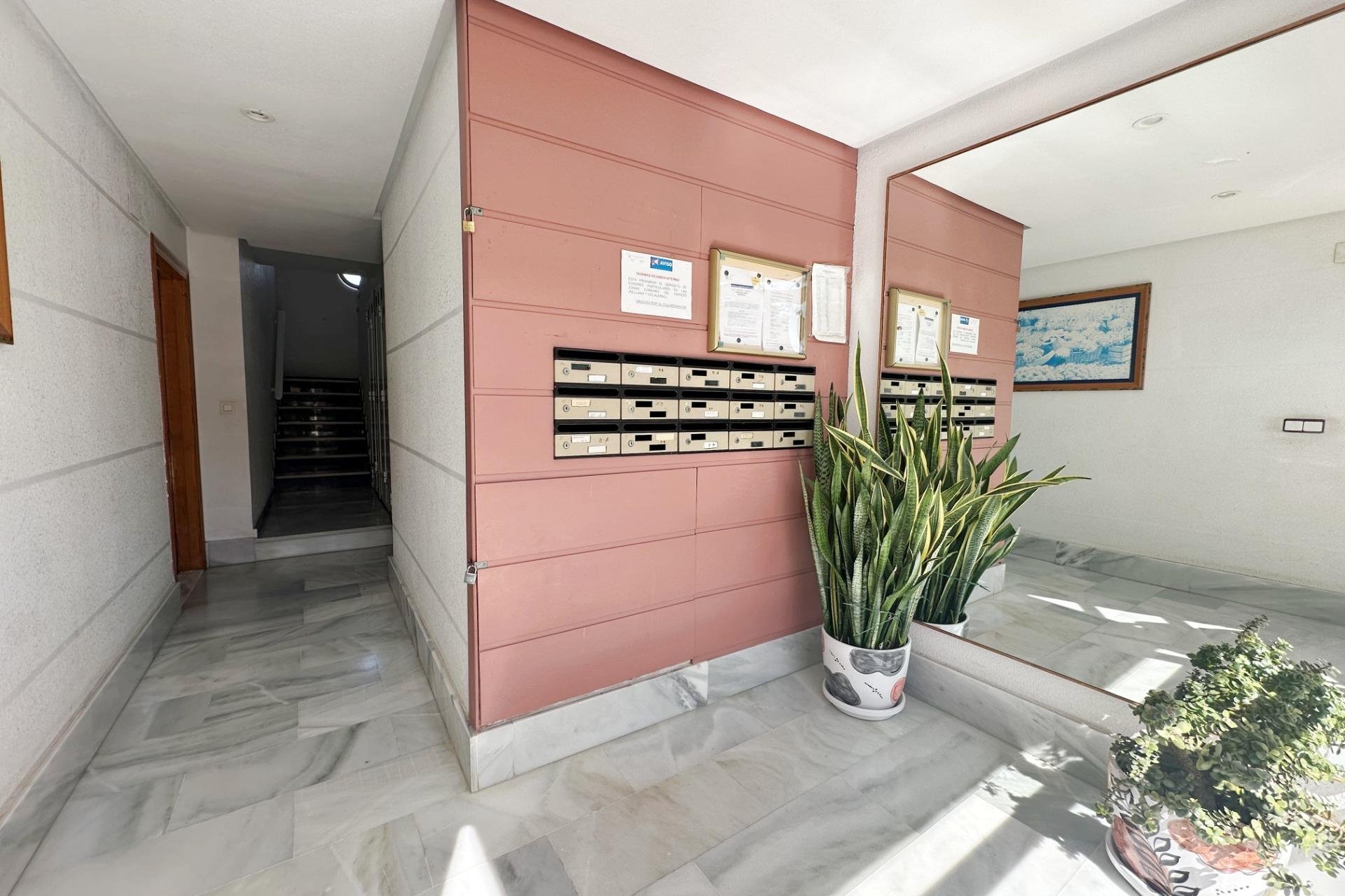 Használt Ingatlanok - Apartman -
Torrevieja - Playa del Cura