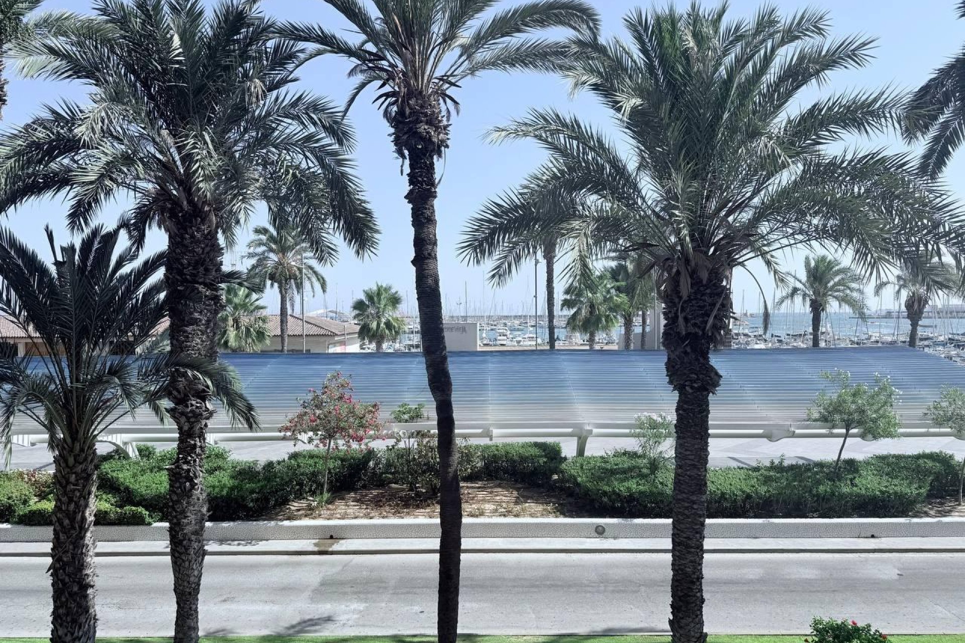 Használt Ingatlanok - Apartman -
Torrevieja - Puerto