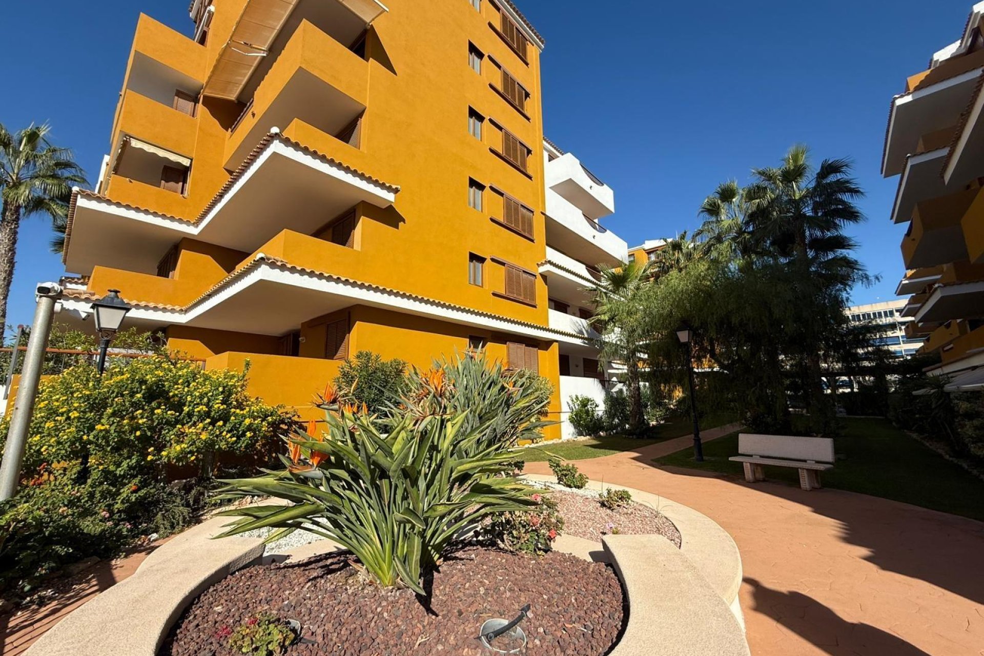 Használt Ingatlanok - Apartman -
Torrevieja - Punta Prima