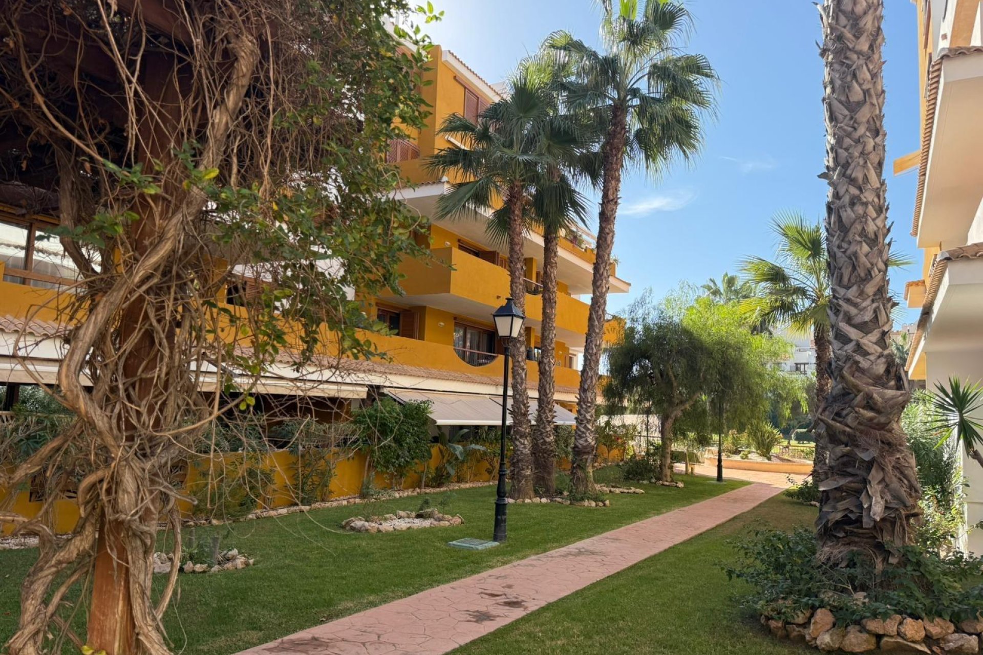 Használt Ingatlanok - Apartman -
Torrevieja - Punta Prima