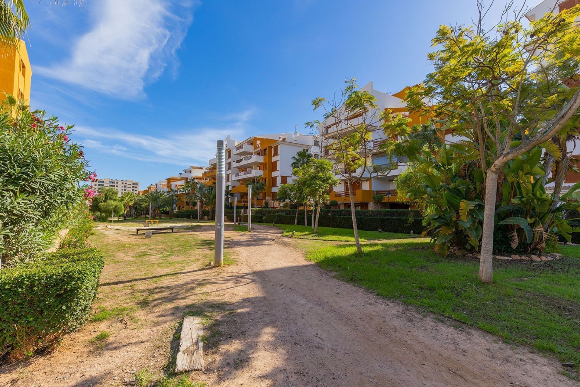 Használt Ingatlanok - Apartman -
Torrevieja - Punta Prima