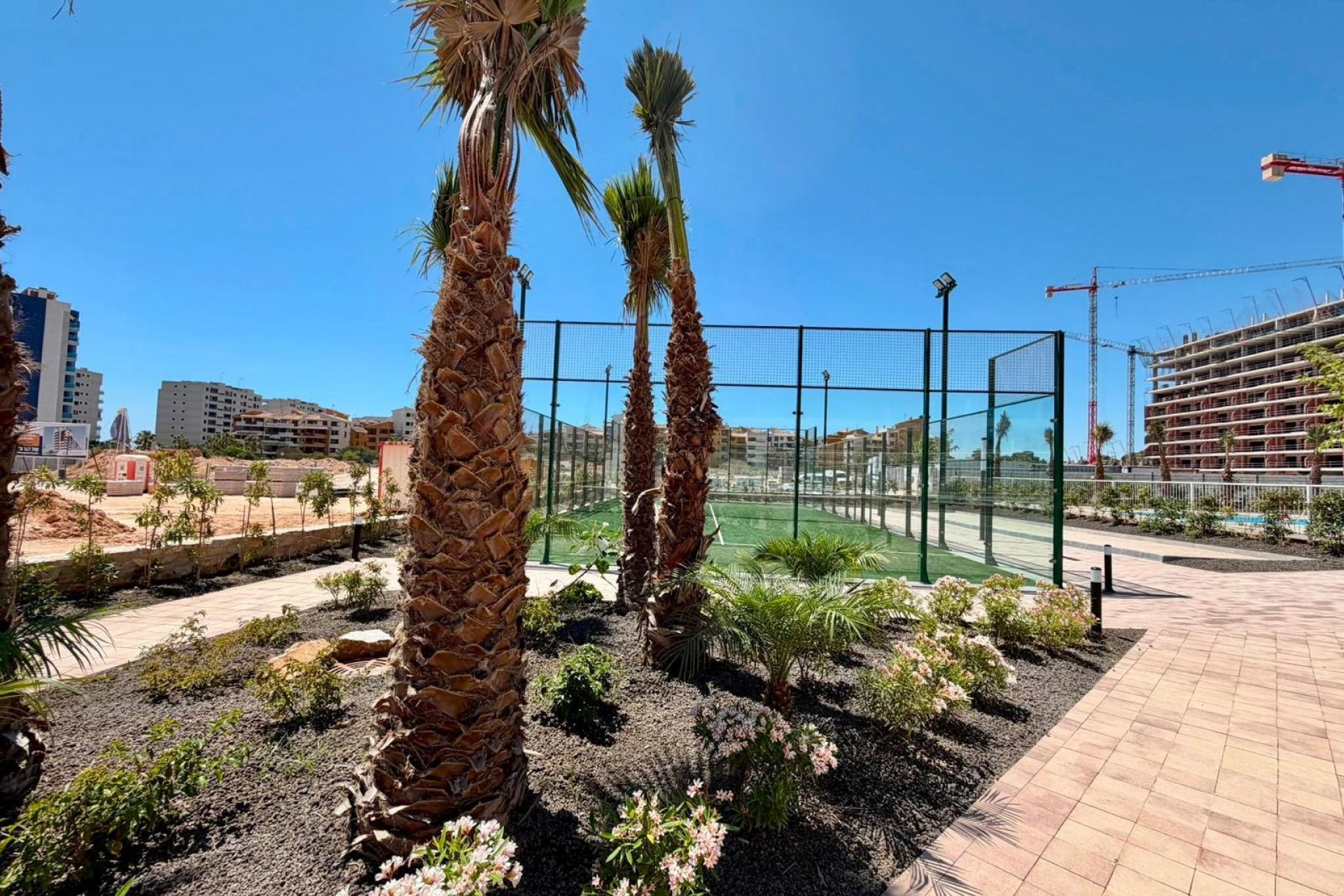 Használt Ingatlanok - Apartman -
Torrevieja - Punta Prima