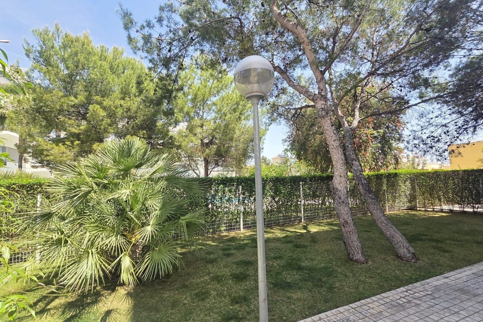 Használt Ingatlanok - Apartman -
Villamartin - Costa Blanca
