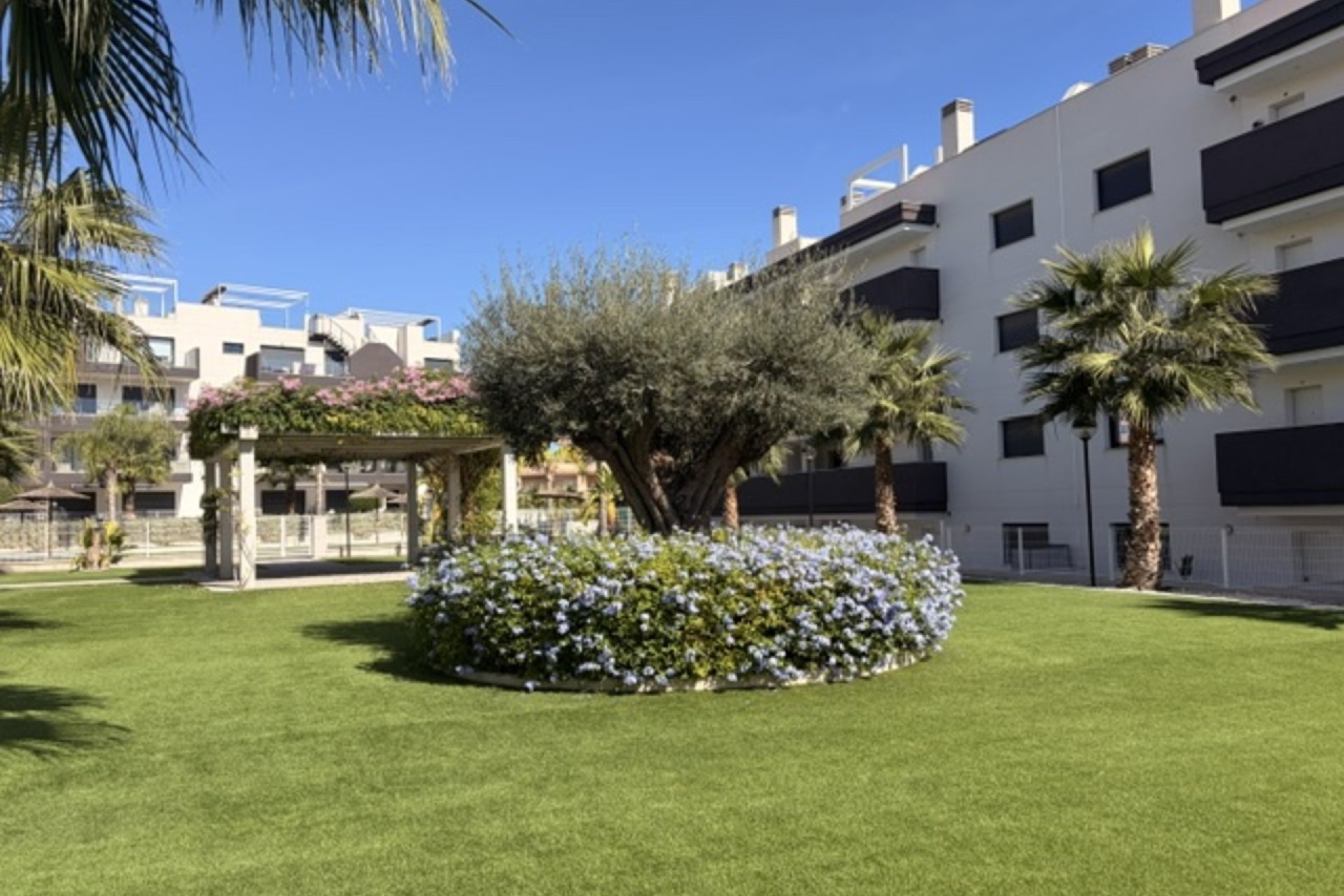 Használt Ingatlanok - Apartman -
Villamartin - Costa Blanca