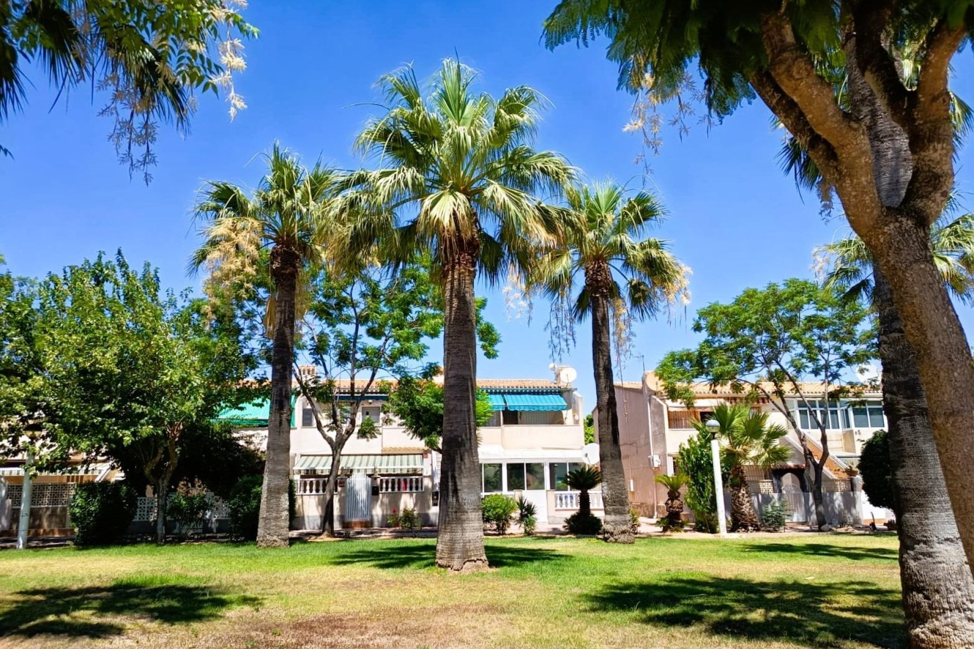 Használt Ingatlanok - Bungaló -
Orihuela Costa - Costa Blanca
