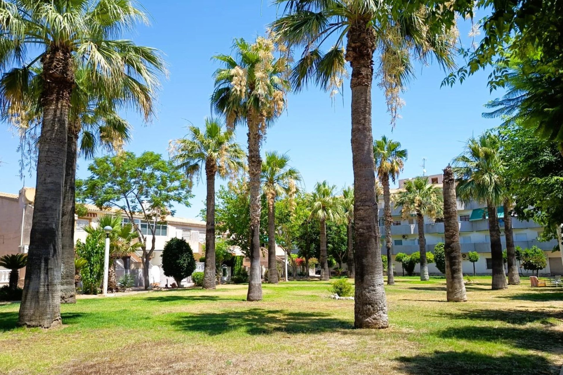 Használt Ingatlanok - Bungaló -
Orihuela Costa - Costa Blanca