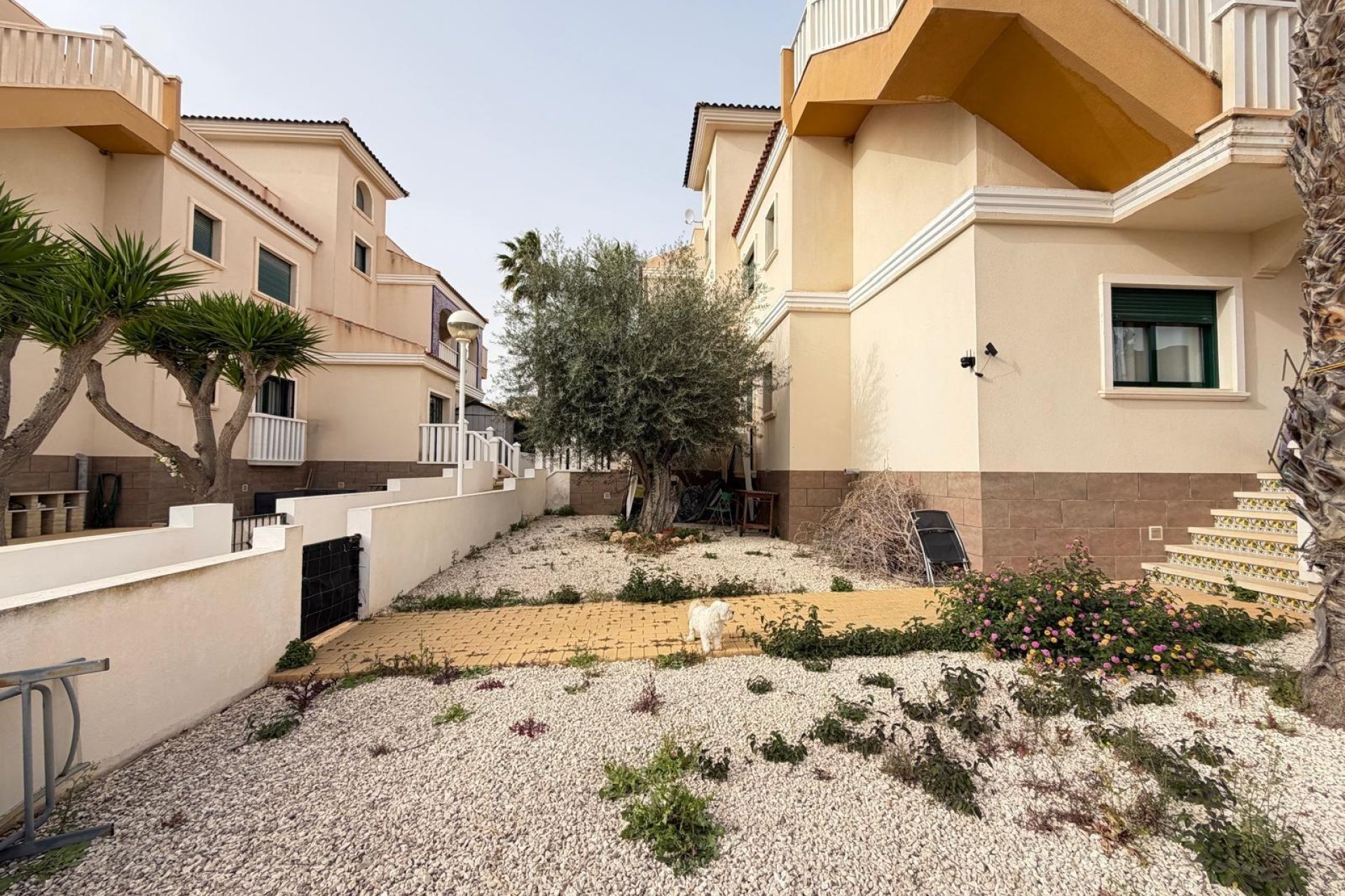 Használt Ingatlanok - Bungaló -
Rojales - Doña Pepa