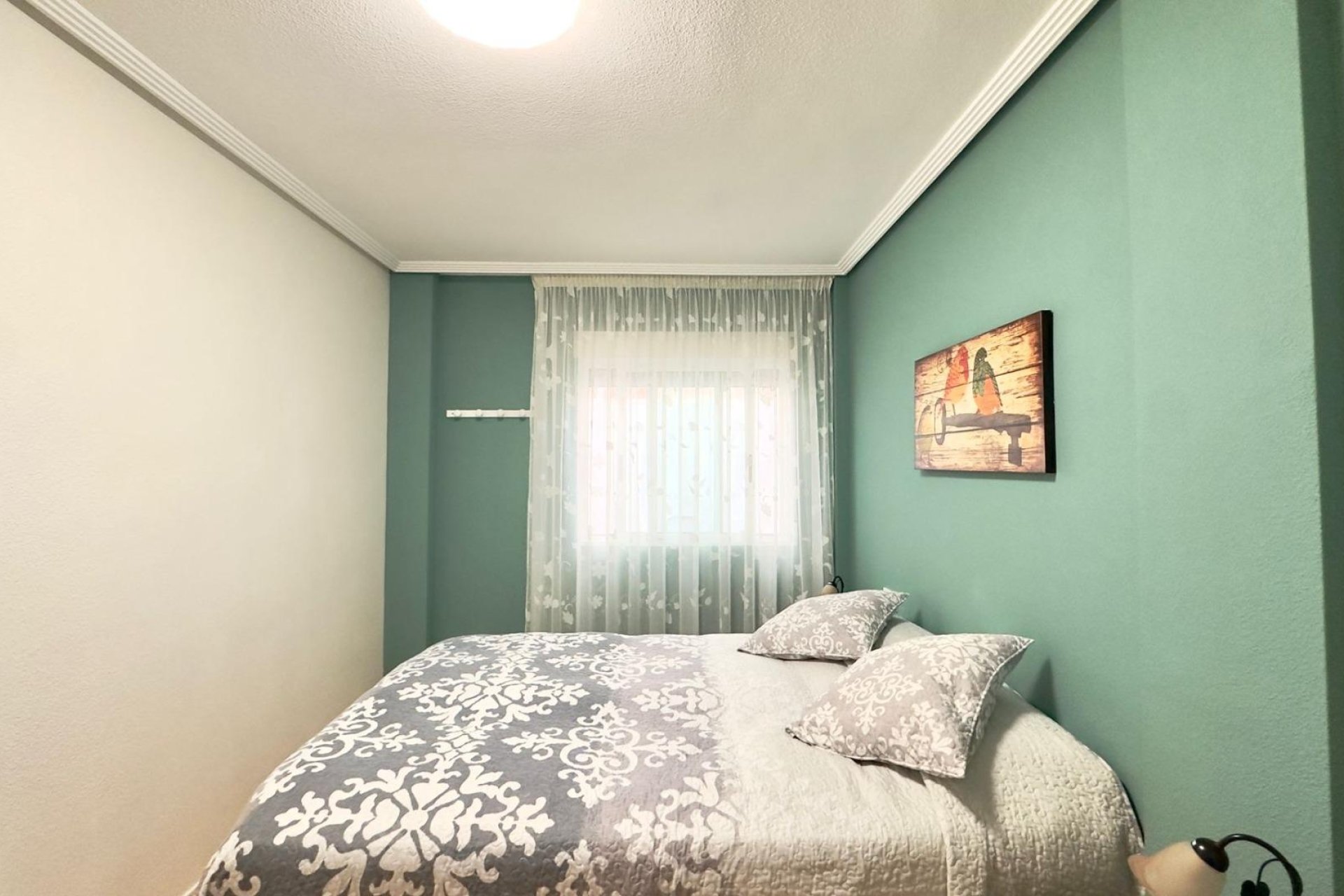 Használt Ingatlanok - Bungaló -
Torrevieja - Centrum