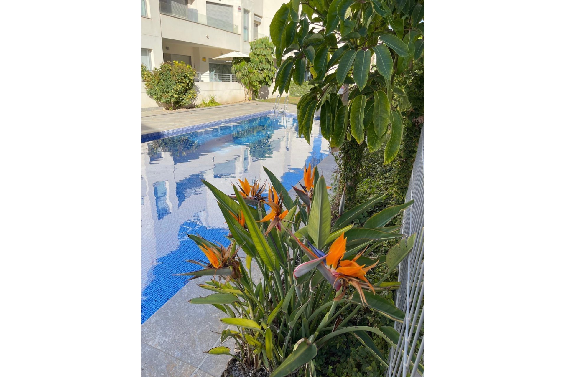 Használt Ingatlanok - Bungaló -
Torrevieja - Costa Blanca