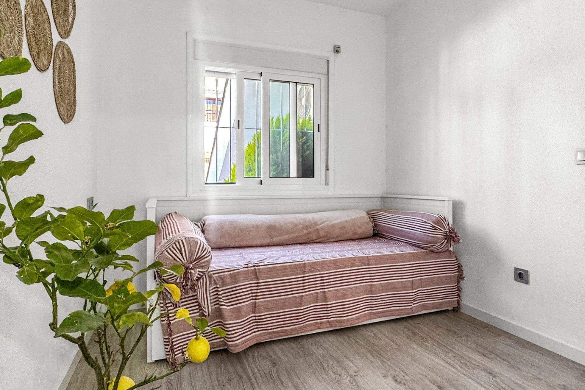 Használt Ingatlanok - Bungaló -
Torrevieja - Costa Blanca